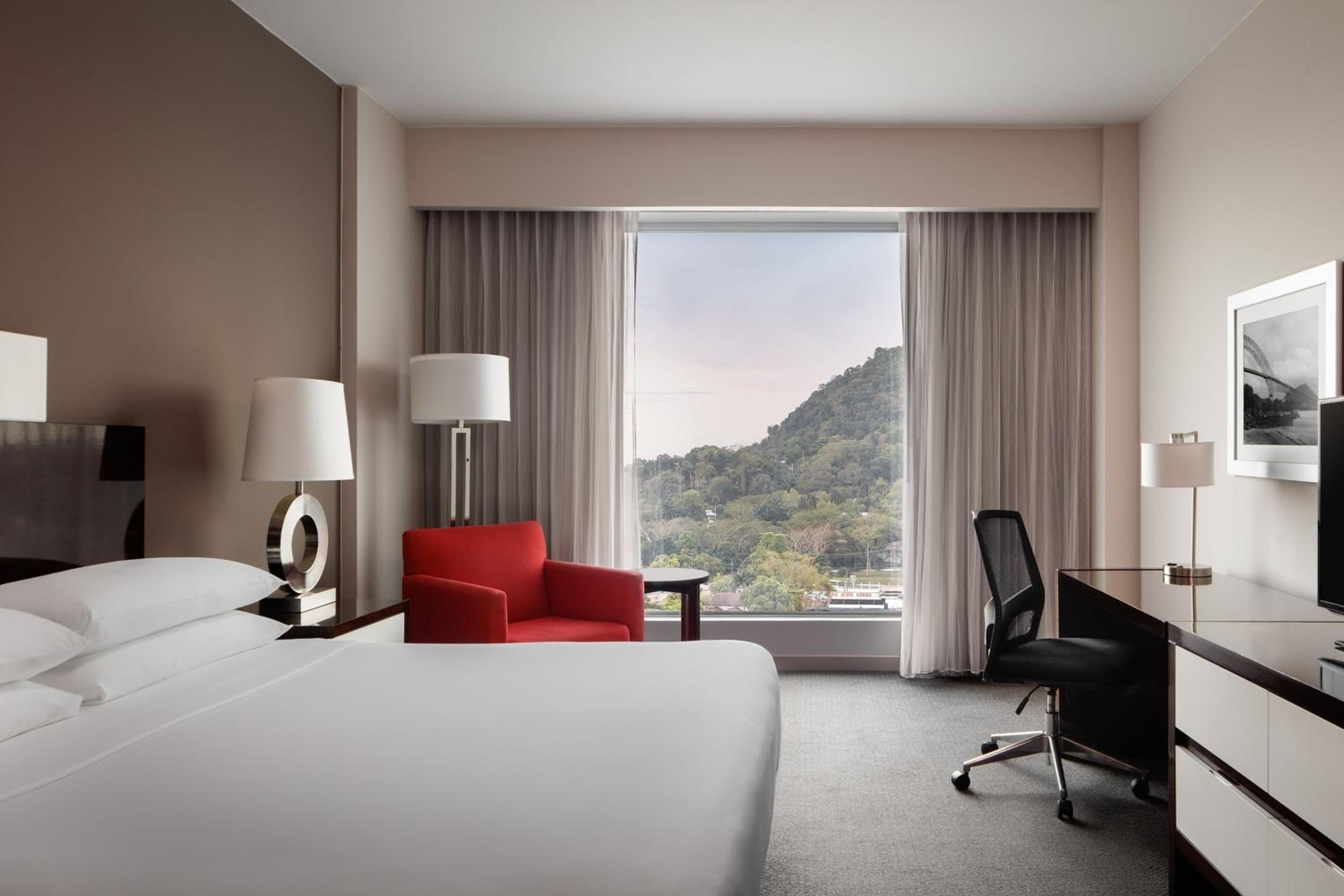 Deluxe King Room with City View - Photo 2