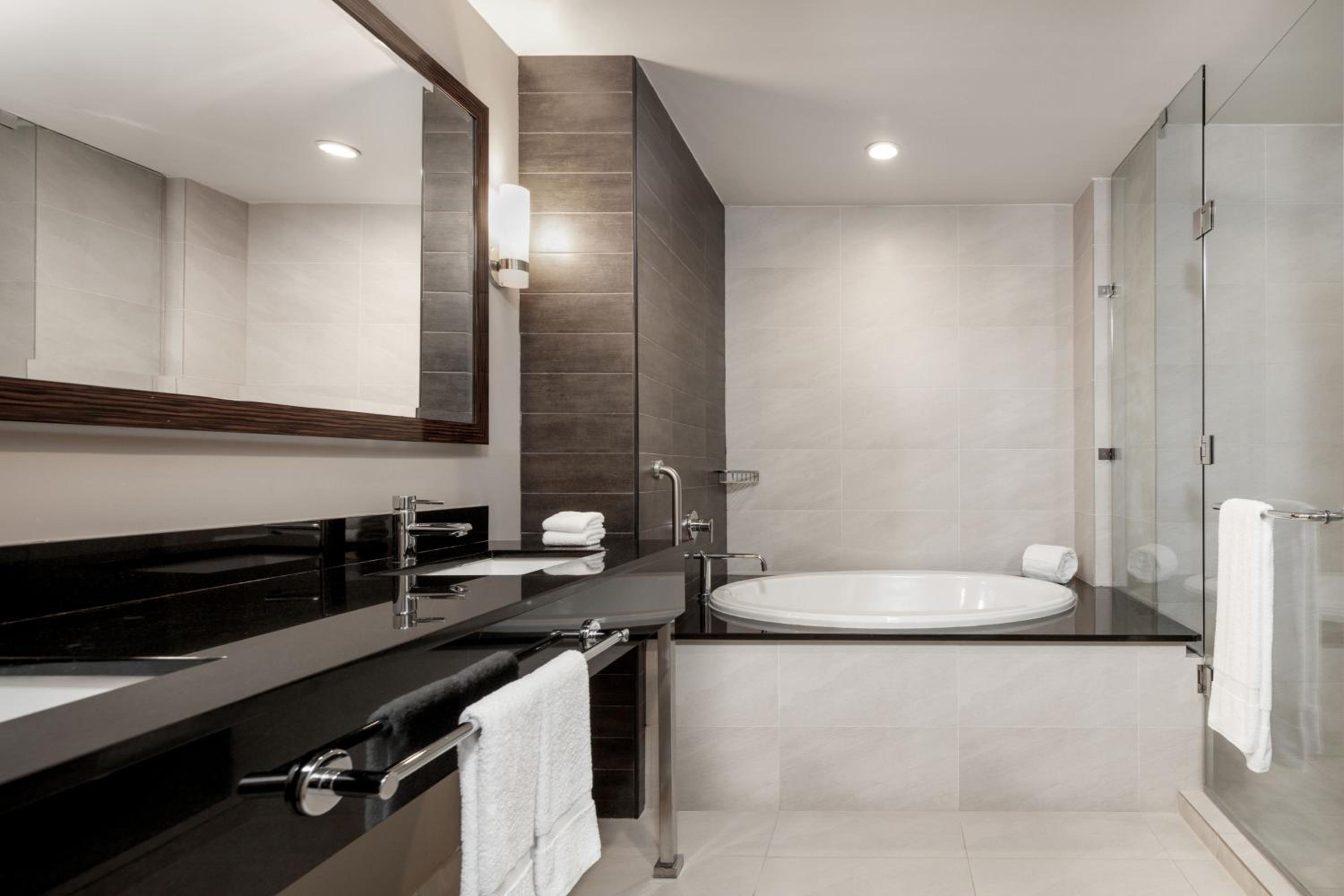 One-Bedroom Master Suite with City View - Photo 4