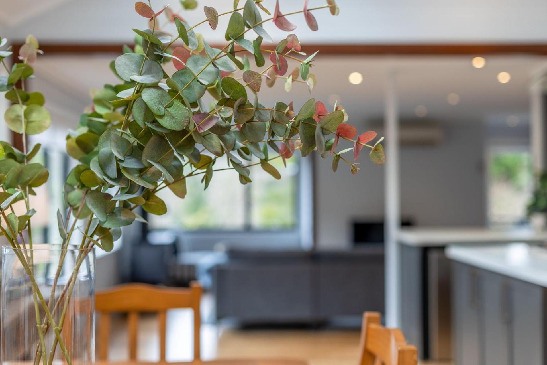 Vacation Home photo 3