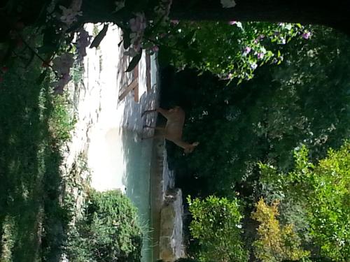 Suite with Terrace photo 1