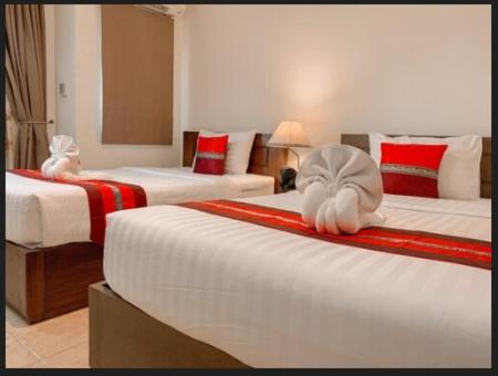 Superior Twin Room - No Balcony - Photo 1