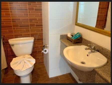 Superior Twin Room - No Balcony - Photo 3
