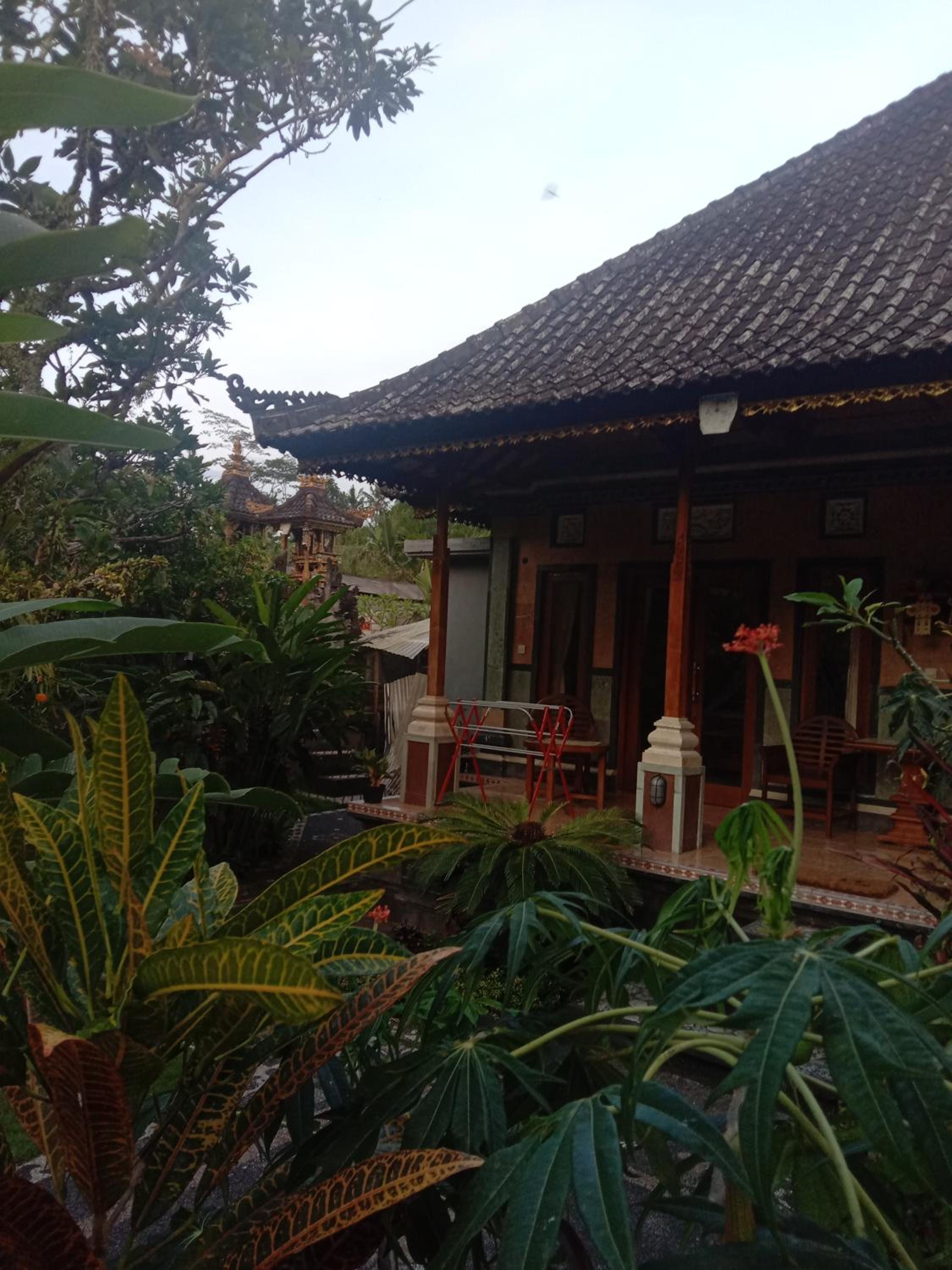 Double Room - Photo 10