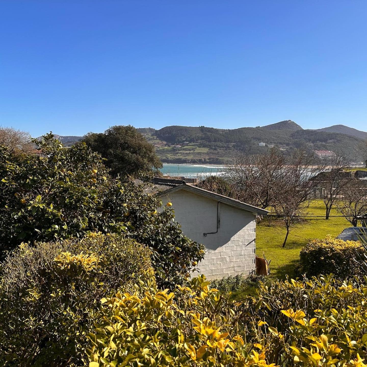 Apartment with Sea View photo 2