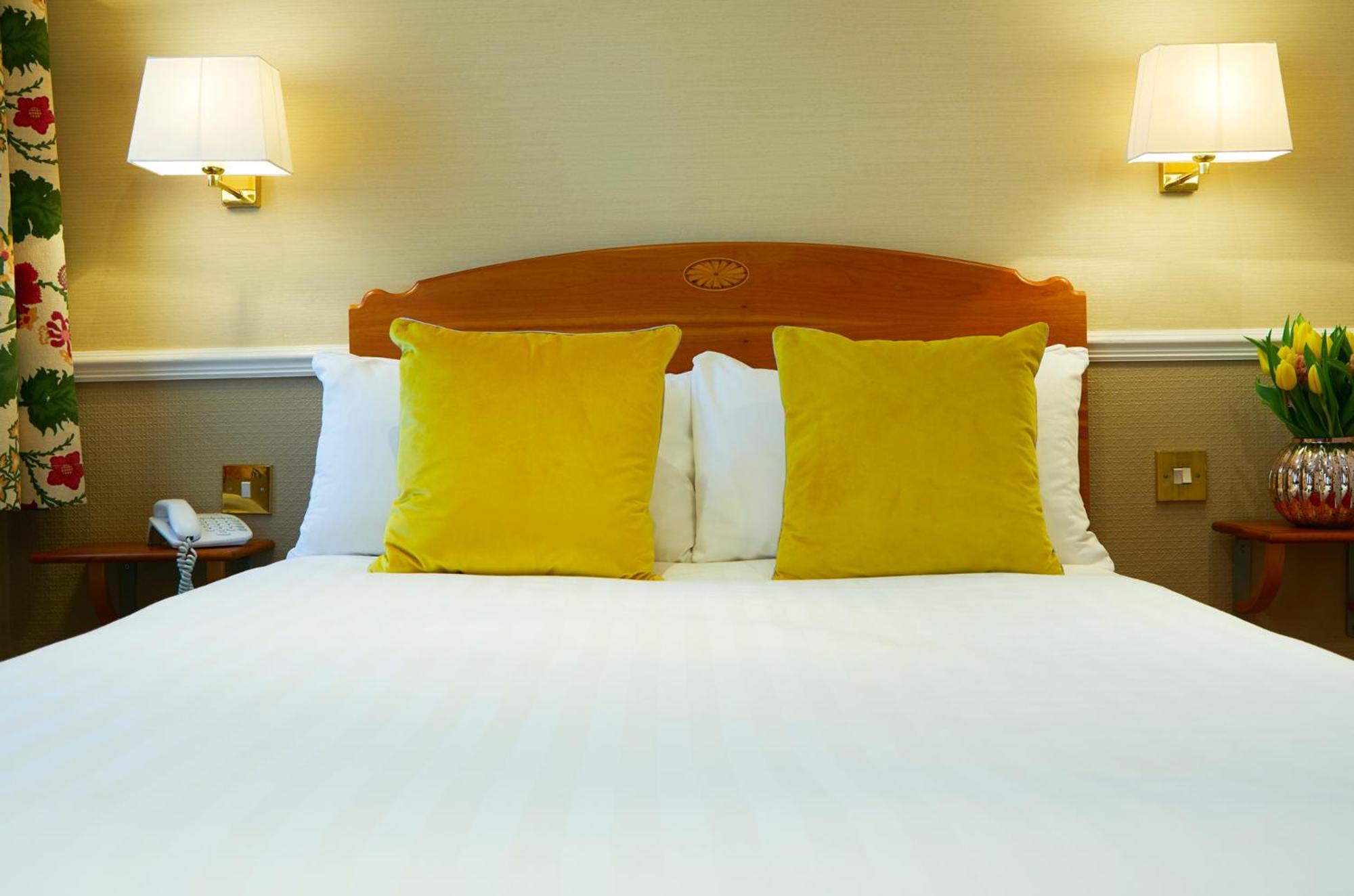 Cozy Double King Room photo 3