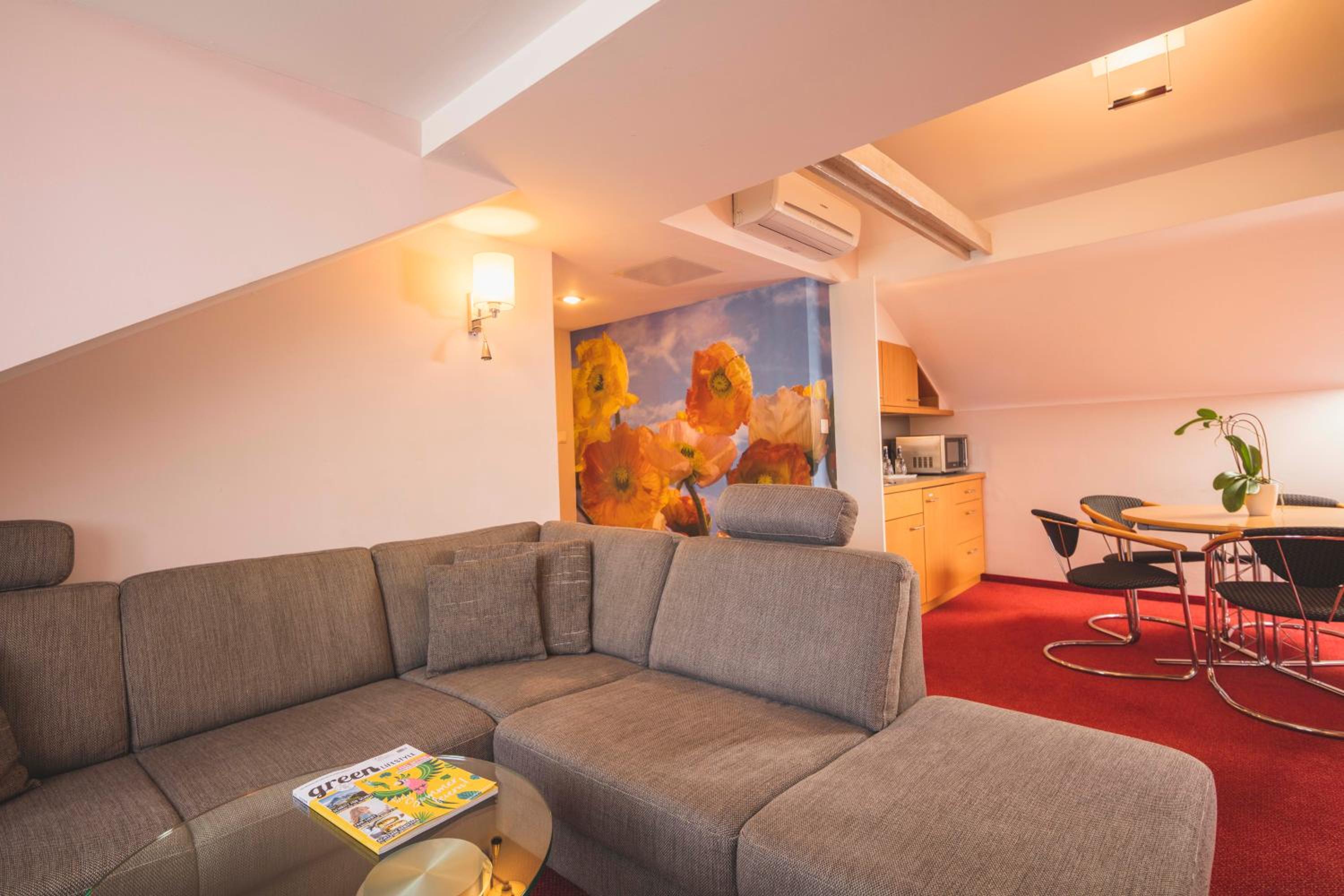 Suite - Photo 4