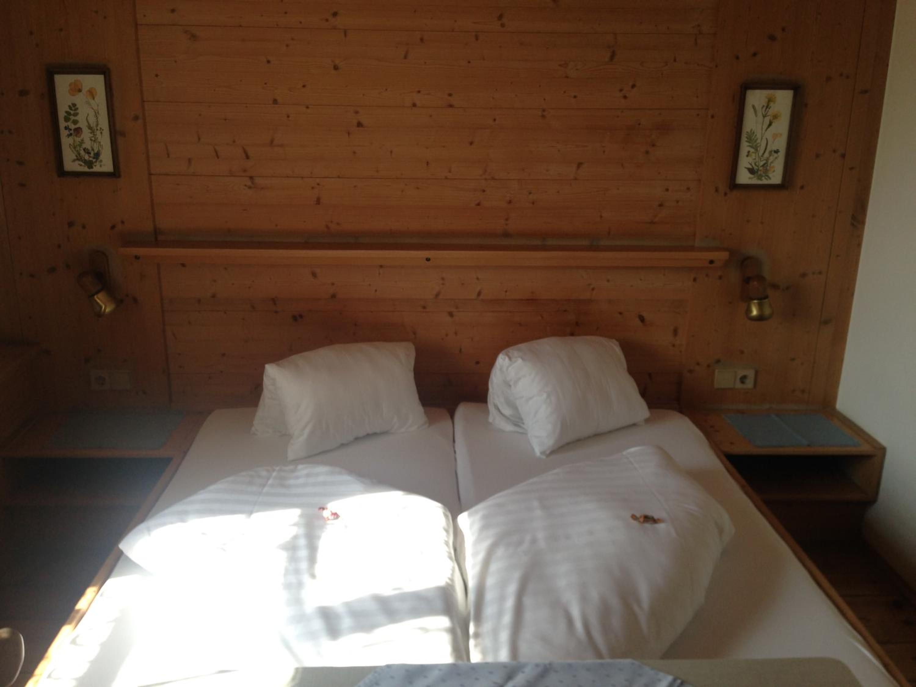 Single Room photo 1