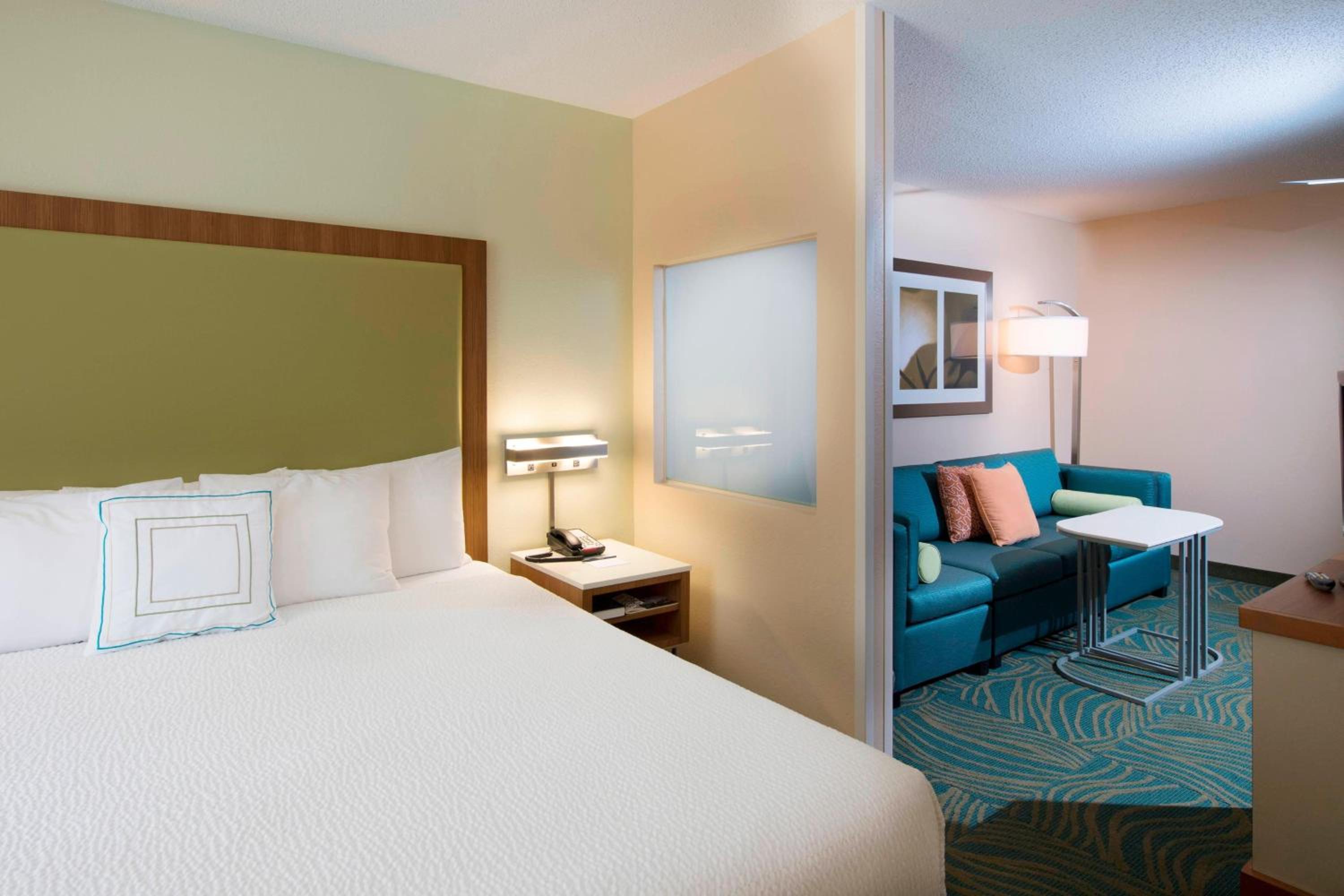 King Suite with Sofa Bed - Photo 1