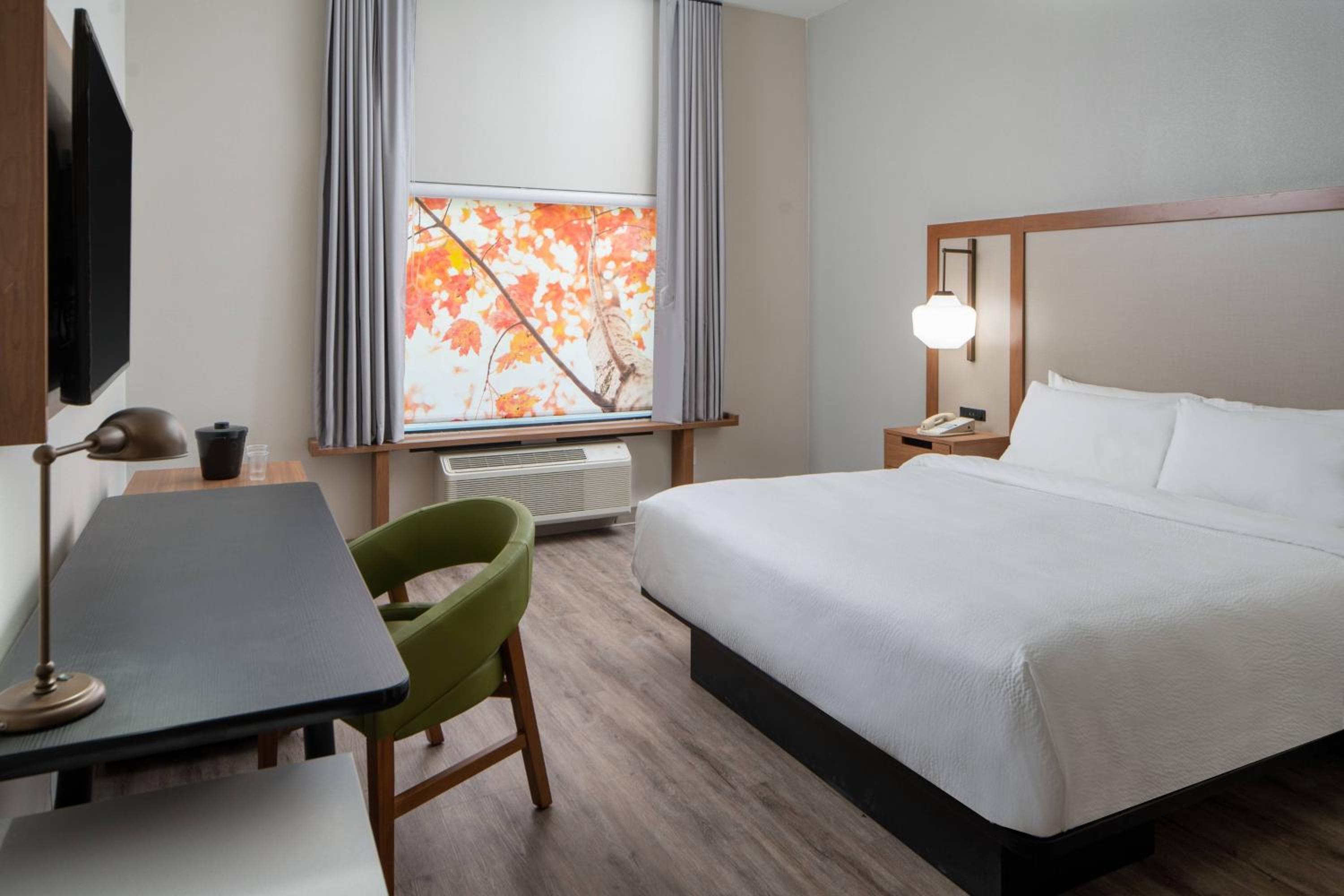 King Room - Photo 1