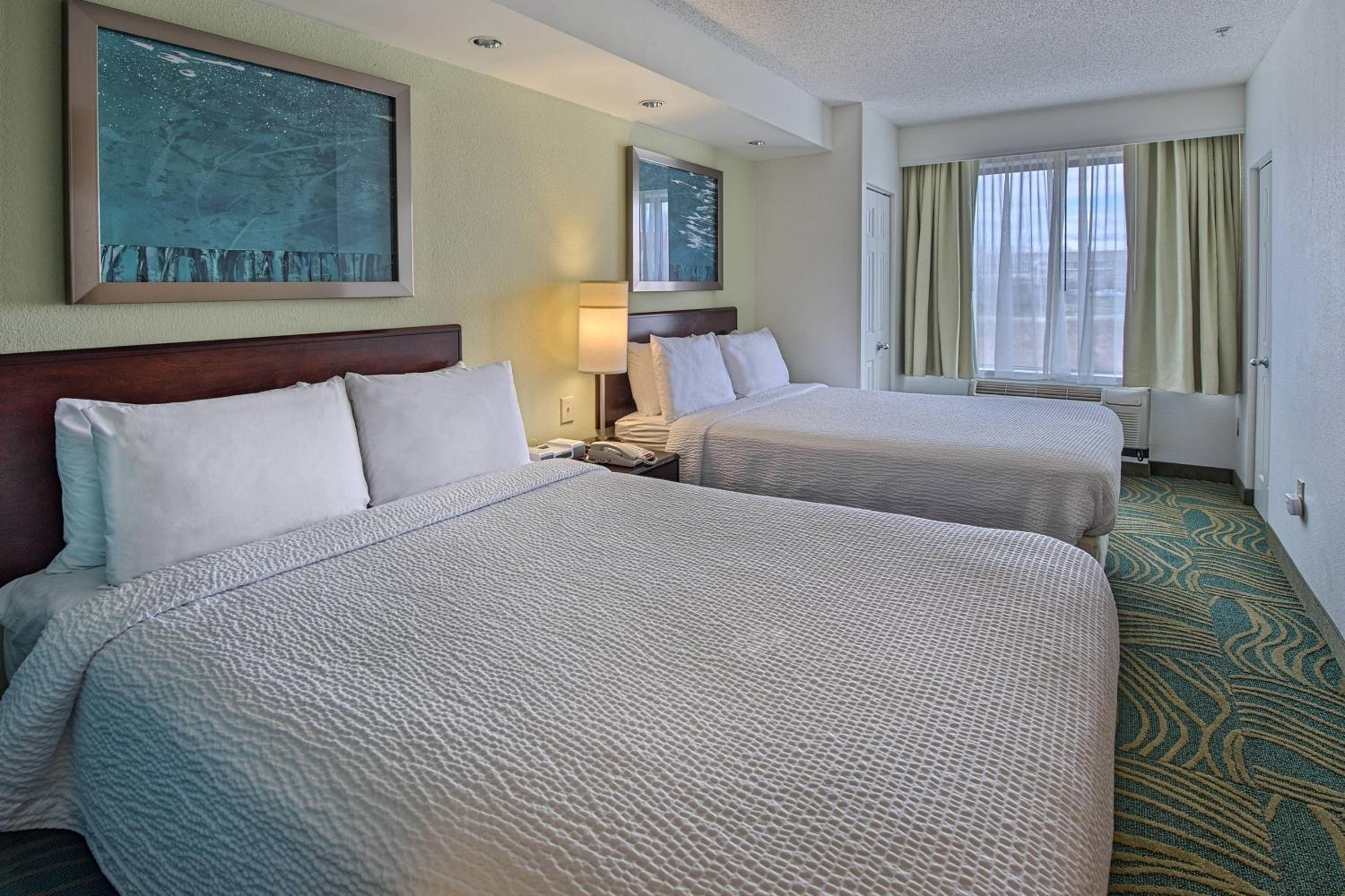 Suite with Roll-in Shower - Mobility and Hearing Accessible - Photo 3