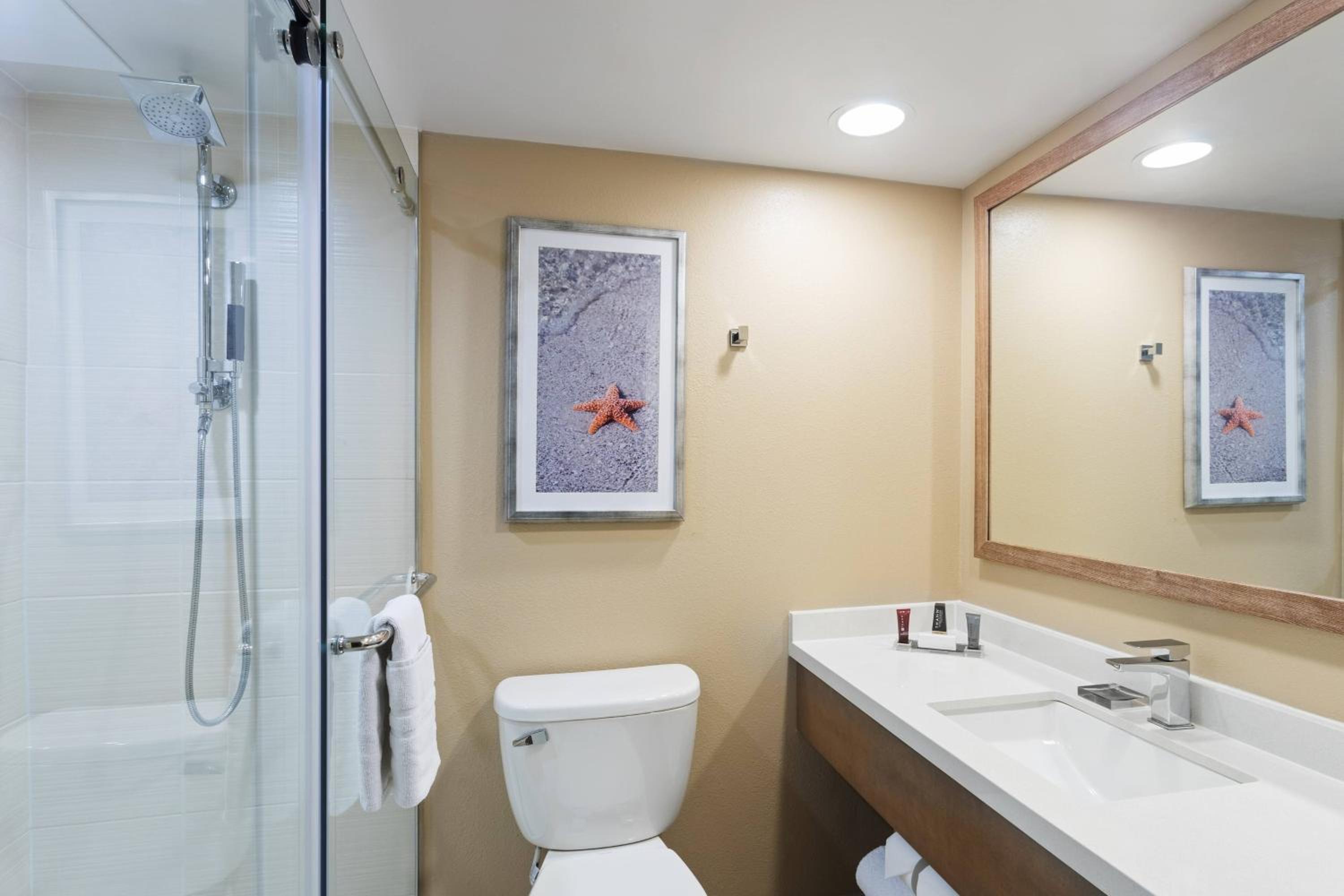1 Bedroom 2 room Suite, 1 King, Sofa Bed, Waterfront View, Balcony  - Photo 6