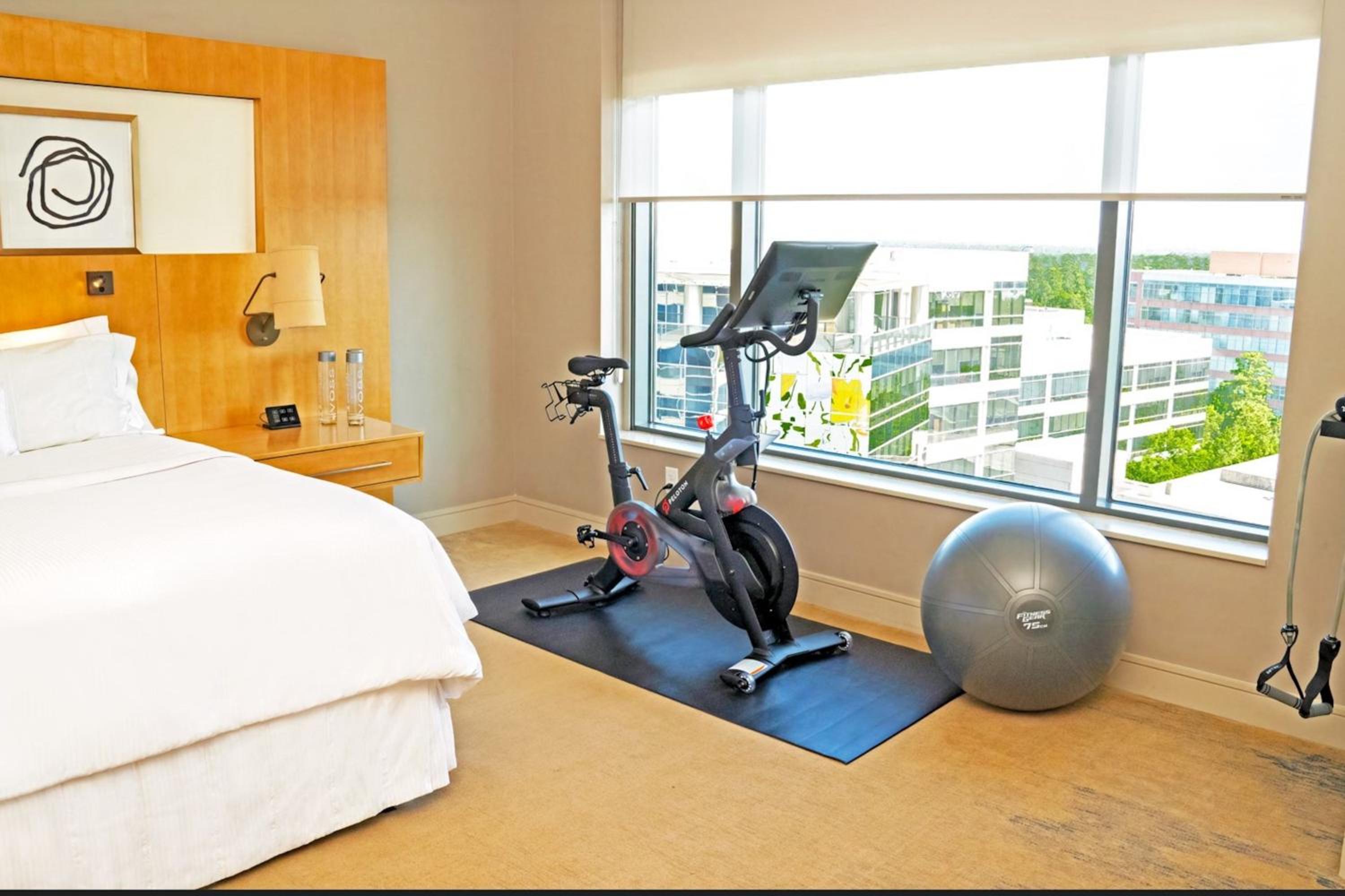 Wellness King Suite photo 1