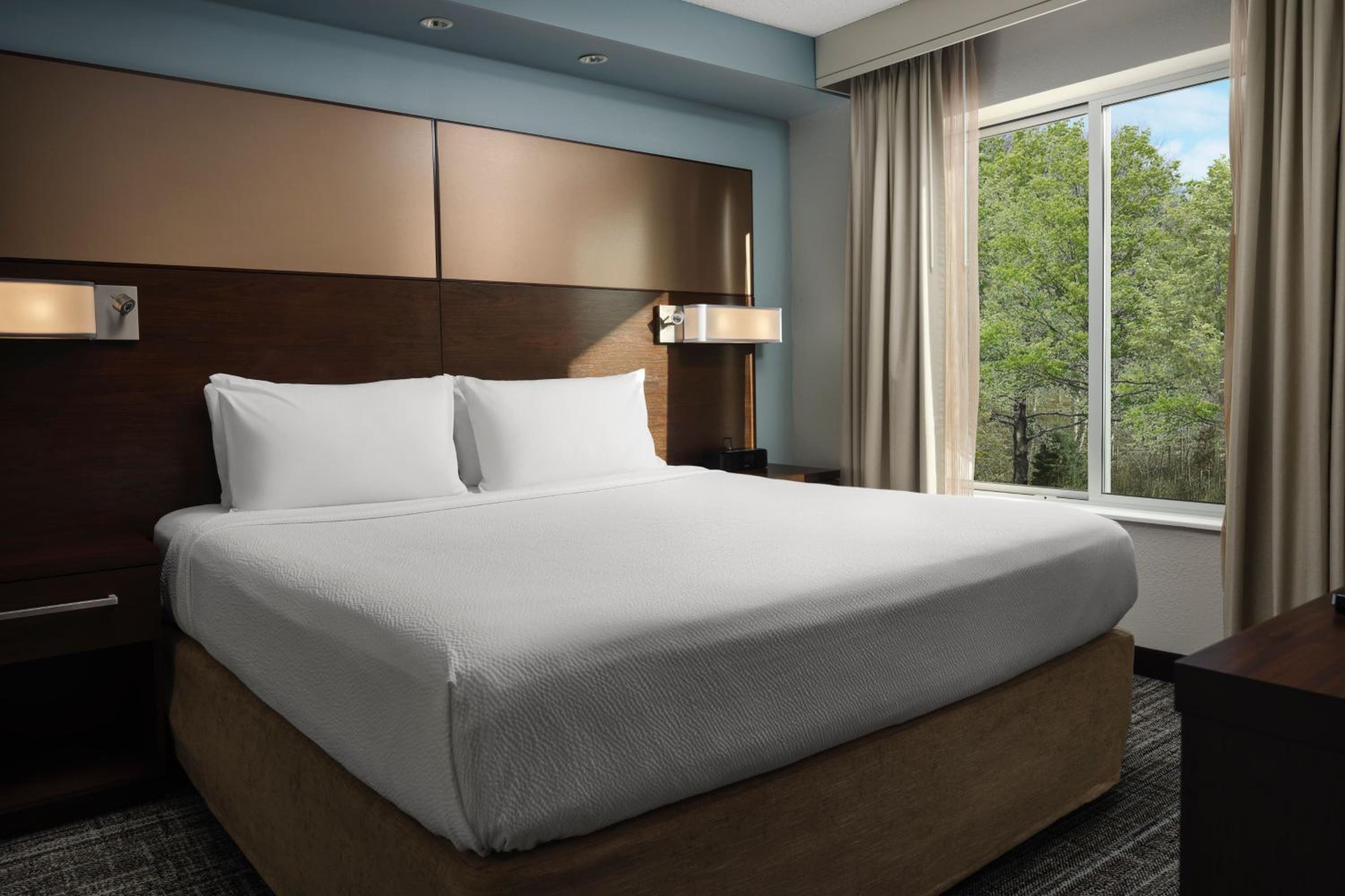 1 Bedroom Suite, 1 King, Sofa bed photo 2