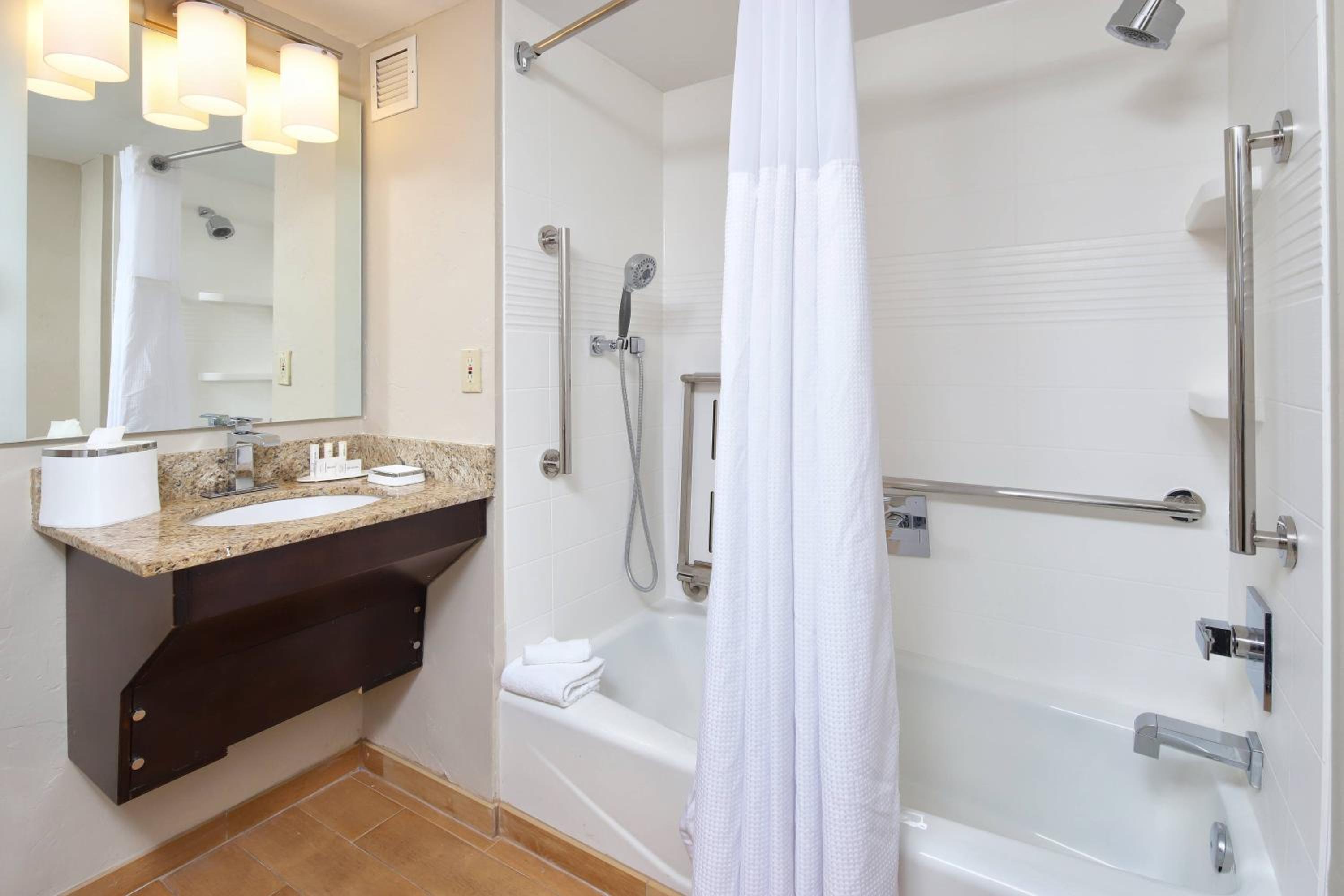 One-Bedroom Queen Suite with Sofa Bed - Photo 2