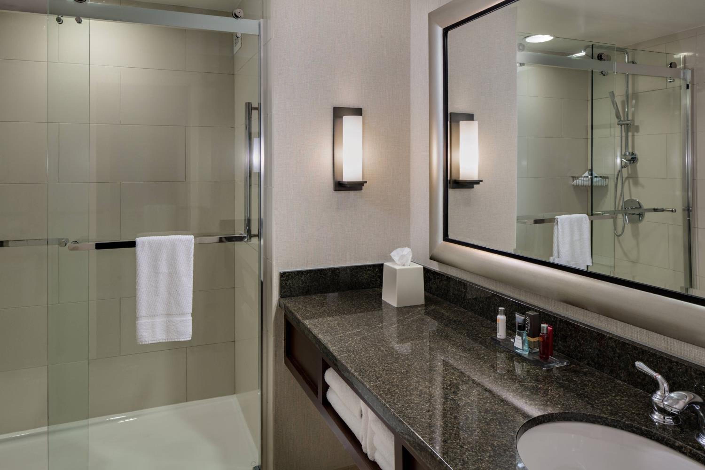 One-Bedroom King Suite with Sofa Bed and City View - Mobility/Hearing Accessible with Roll-In Shower