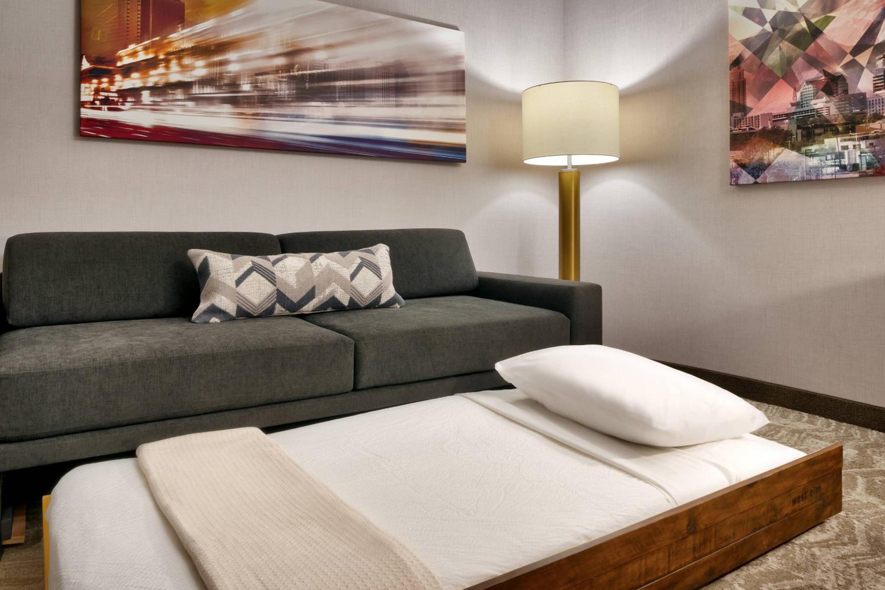 Queen Suite with Sofa Bed and Mountain View - Hearing Accessible photo 2