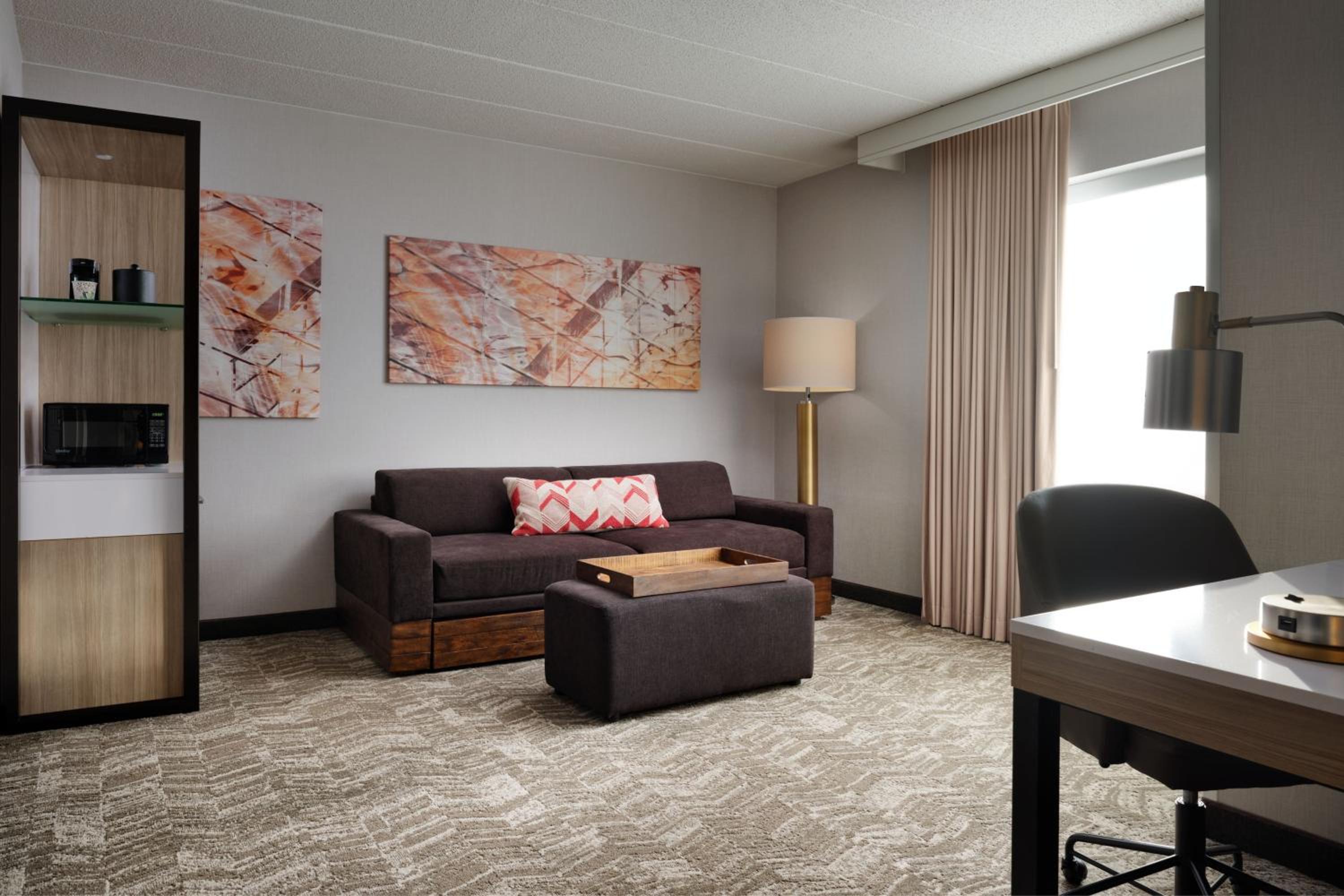 One-Bedroom Suite - Photo 6