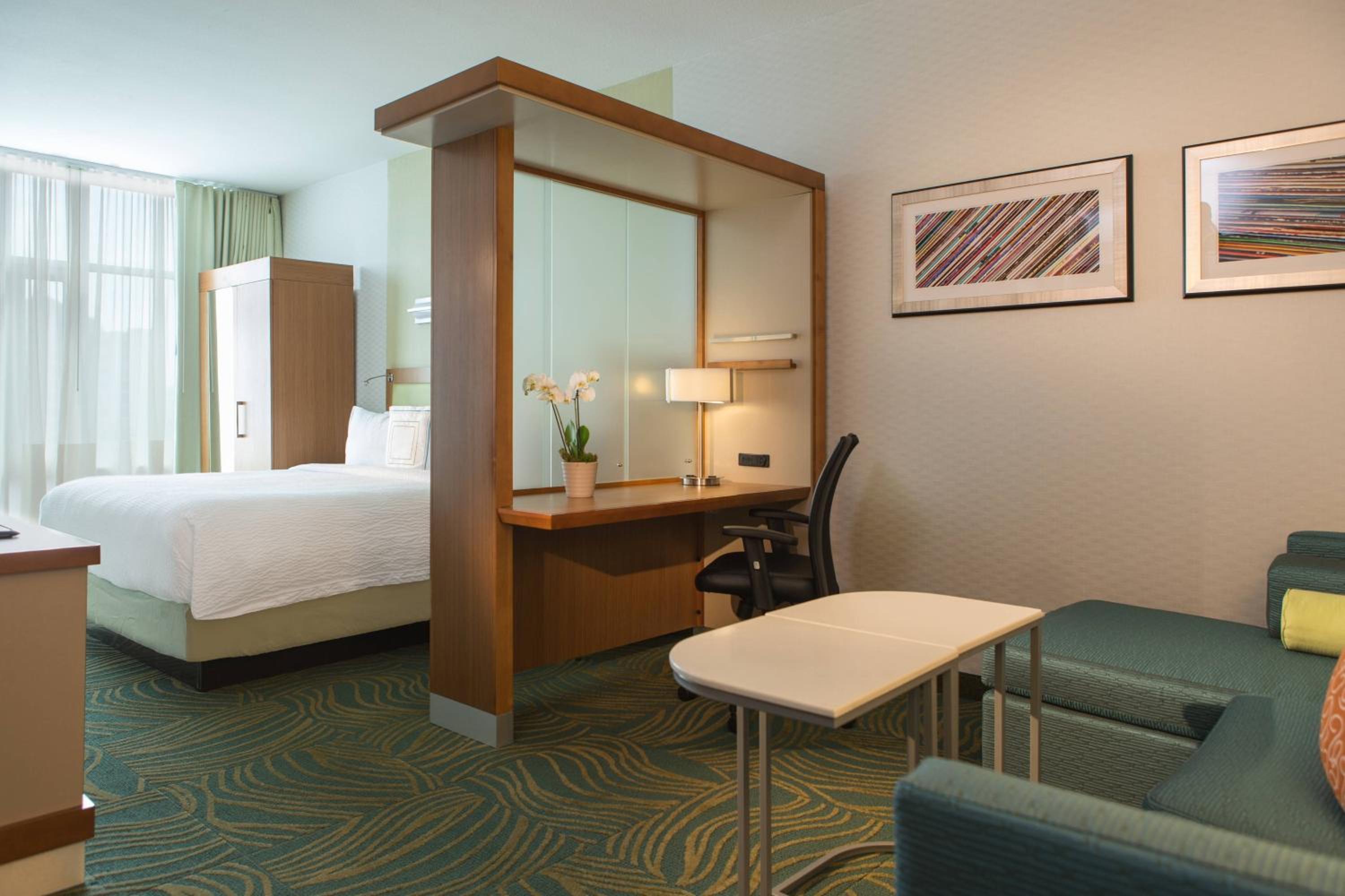 King Suite with Sofa Bed - Photo 1