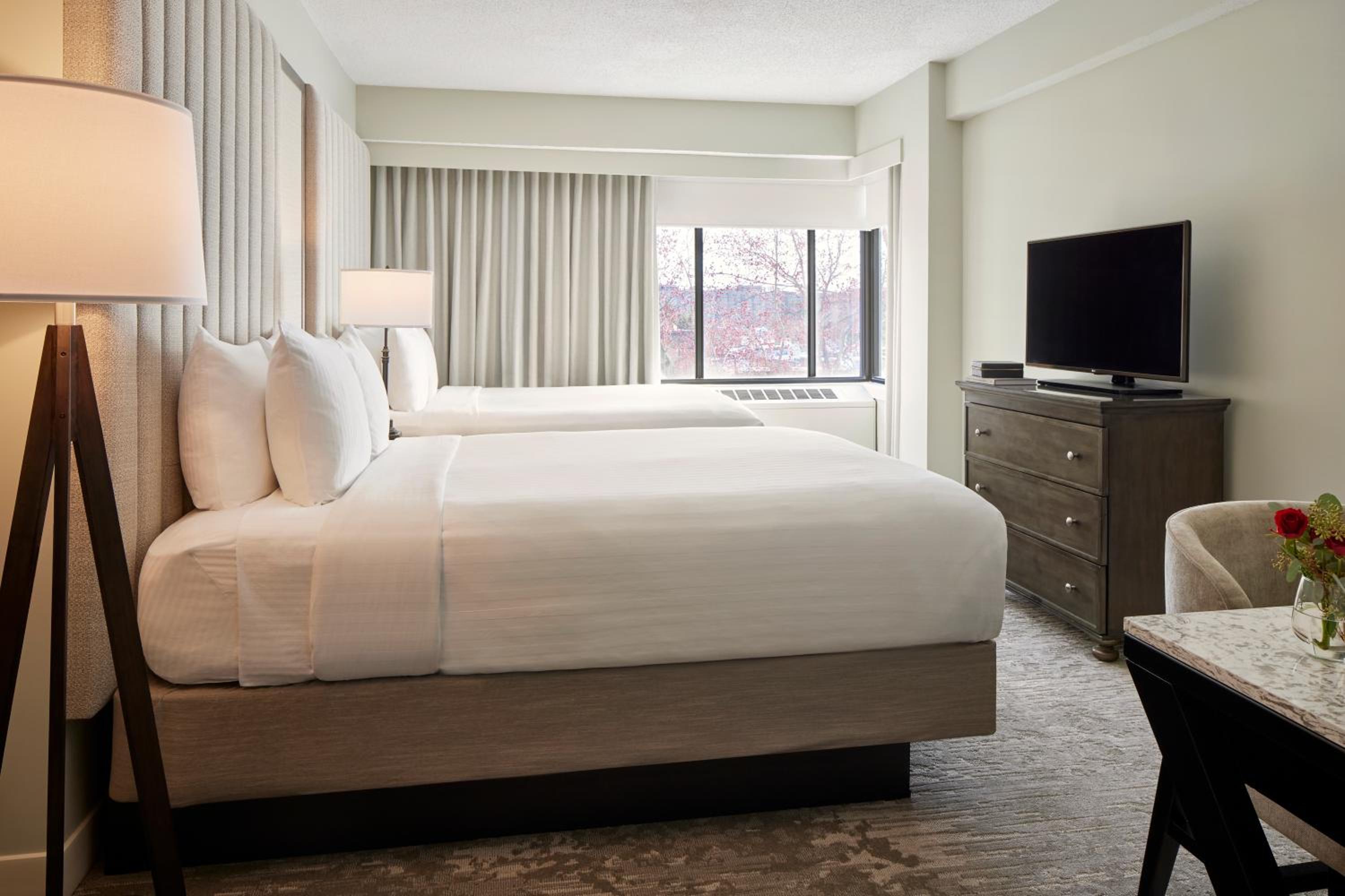 Superior Suite - Photo 1