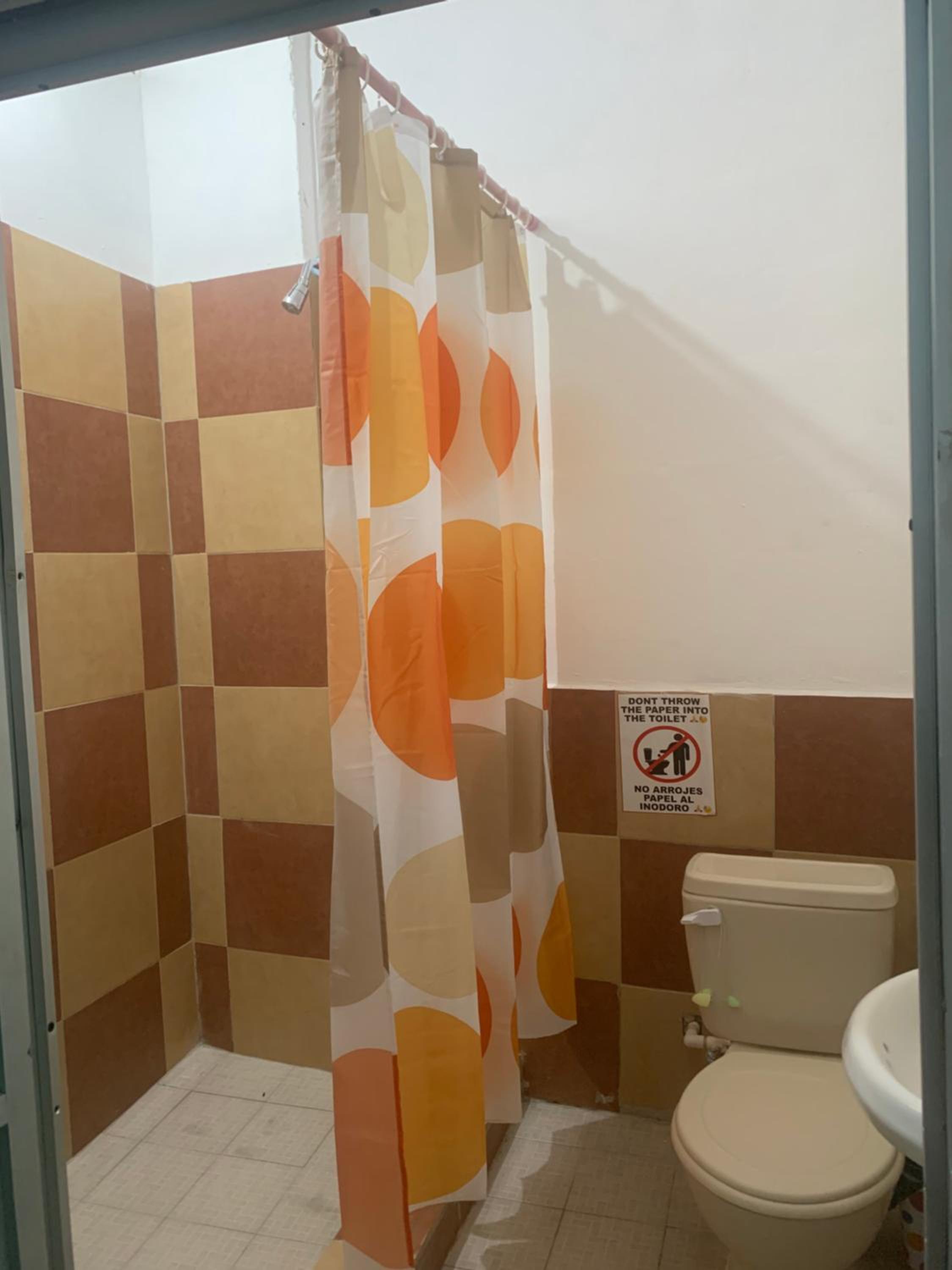 Large Single Room photo 2