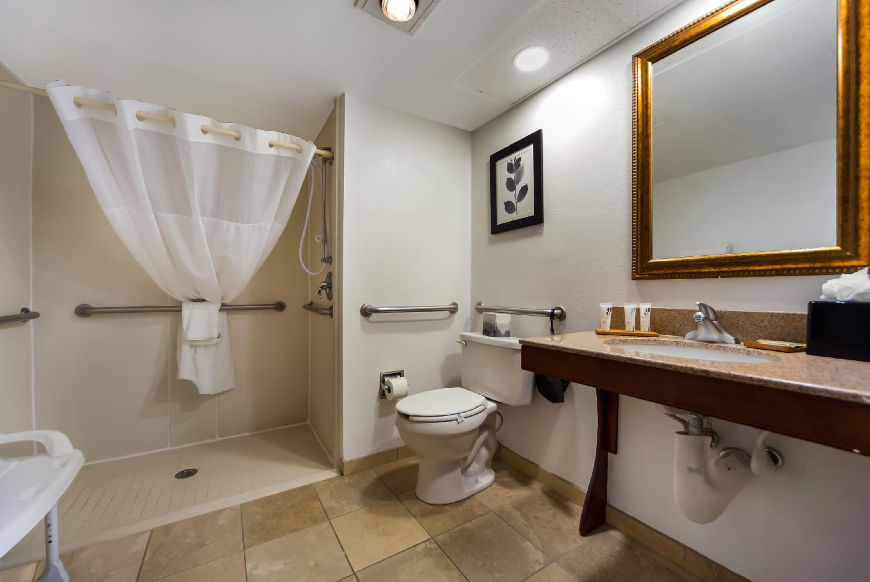 King Room - Disability Access/Non-Smoking - Photo 9