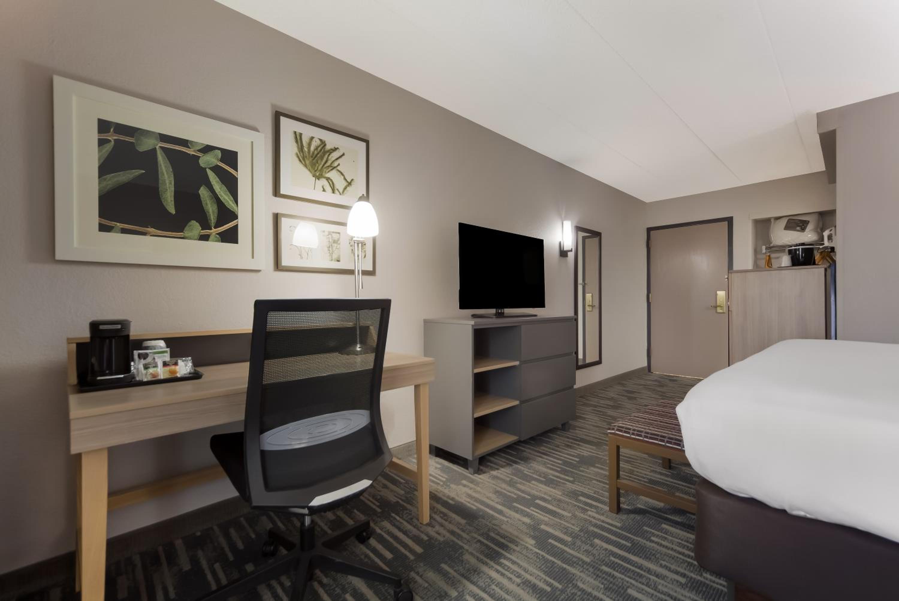 King Room - Non-Smoking - Photo 4