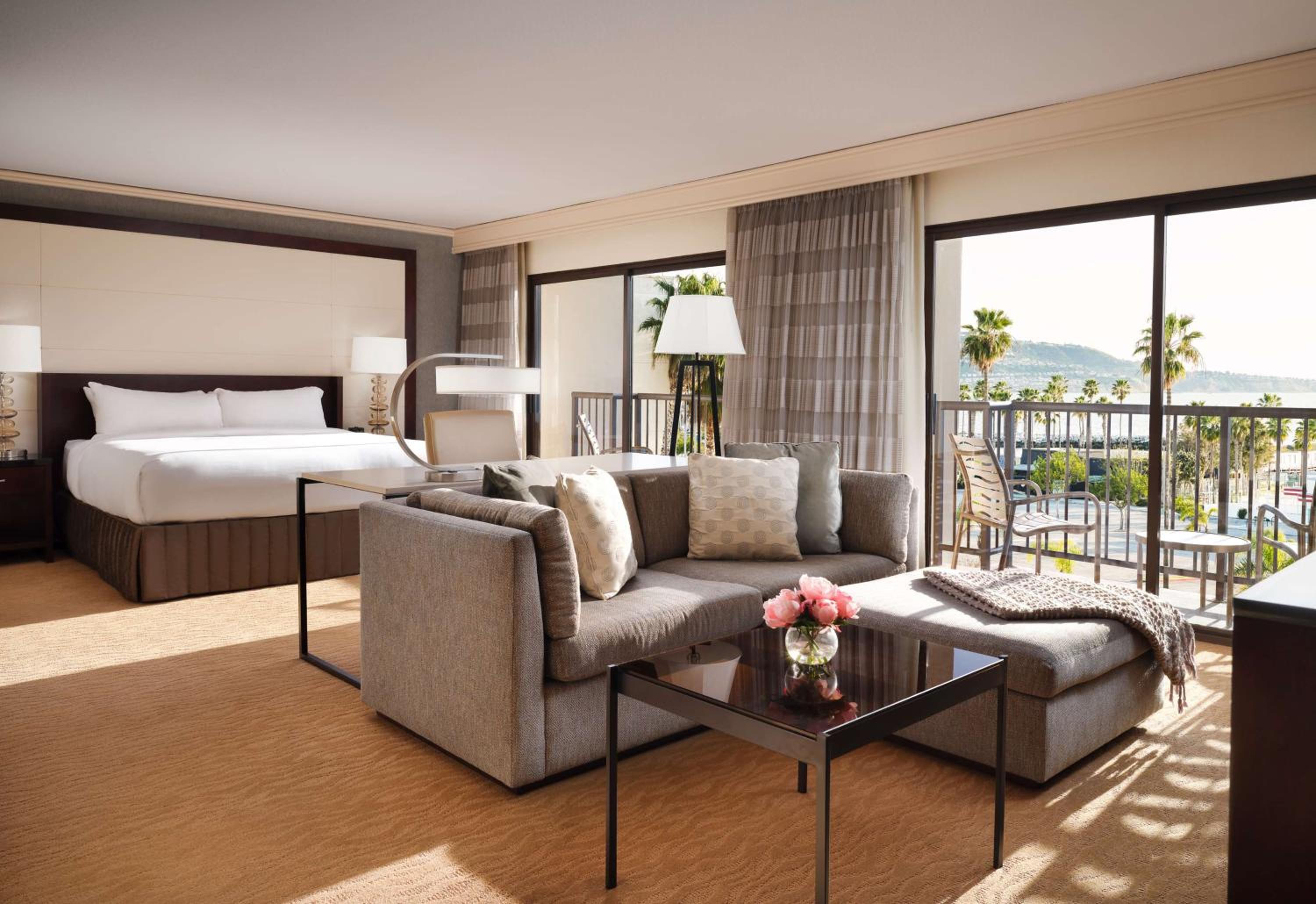 Suite - Photo 2