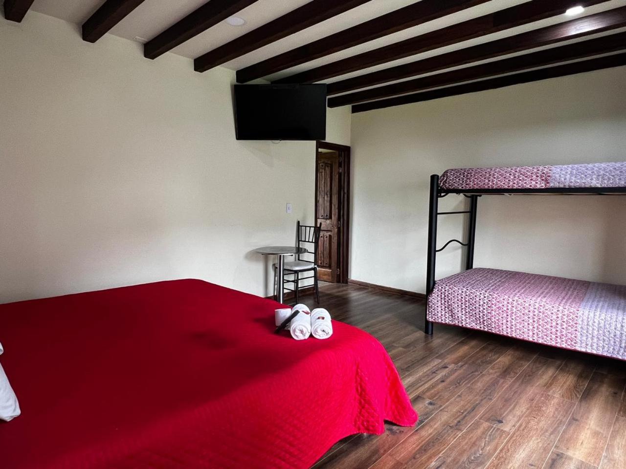 Standard Quadruple Room