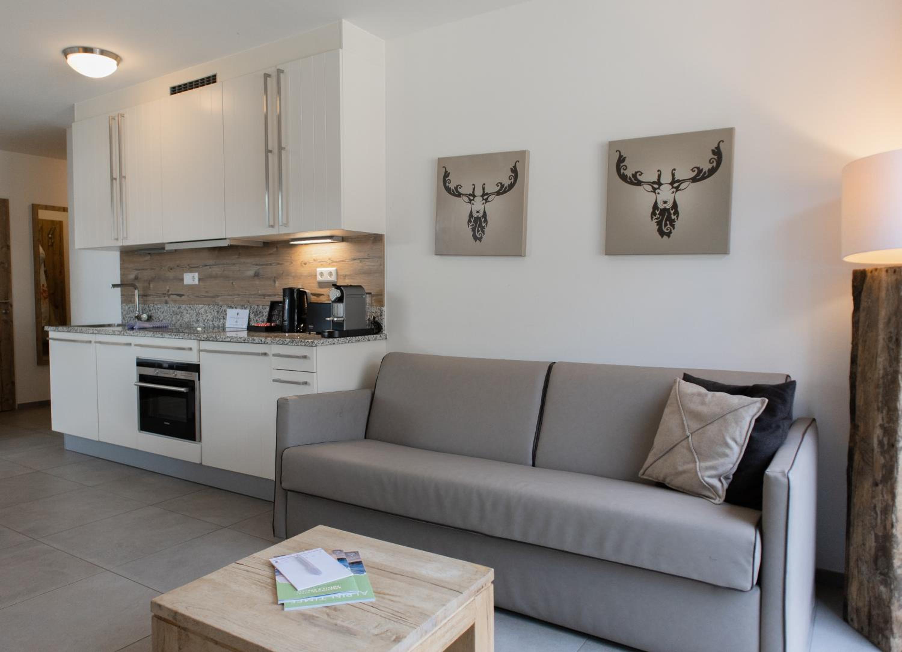One-Bedroom Apartment thumbnail 6