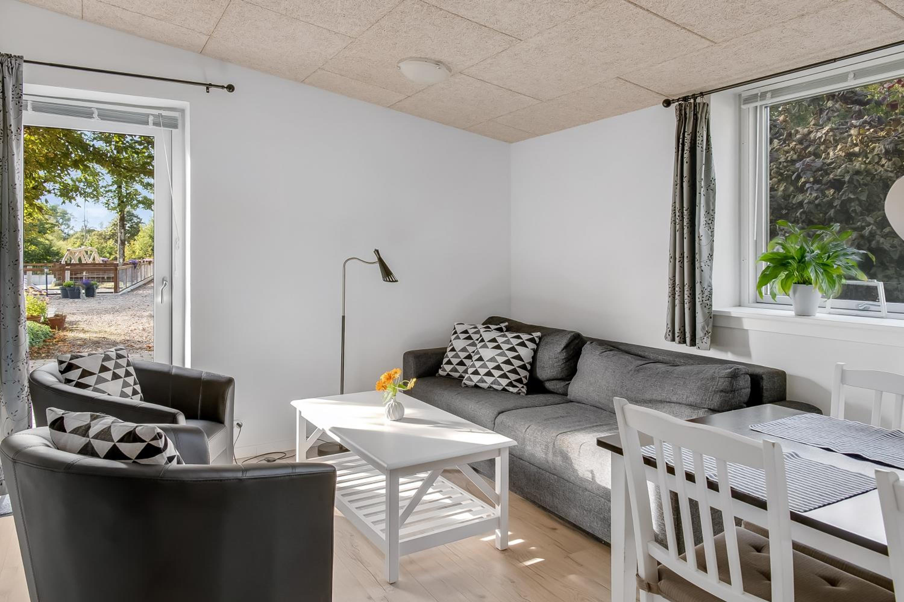 Apartment with Terrace photo 3