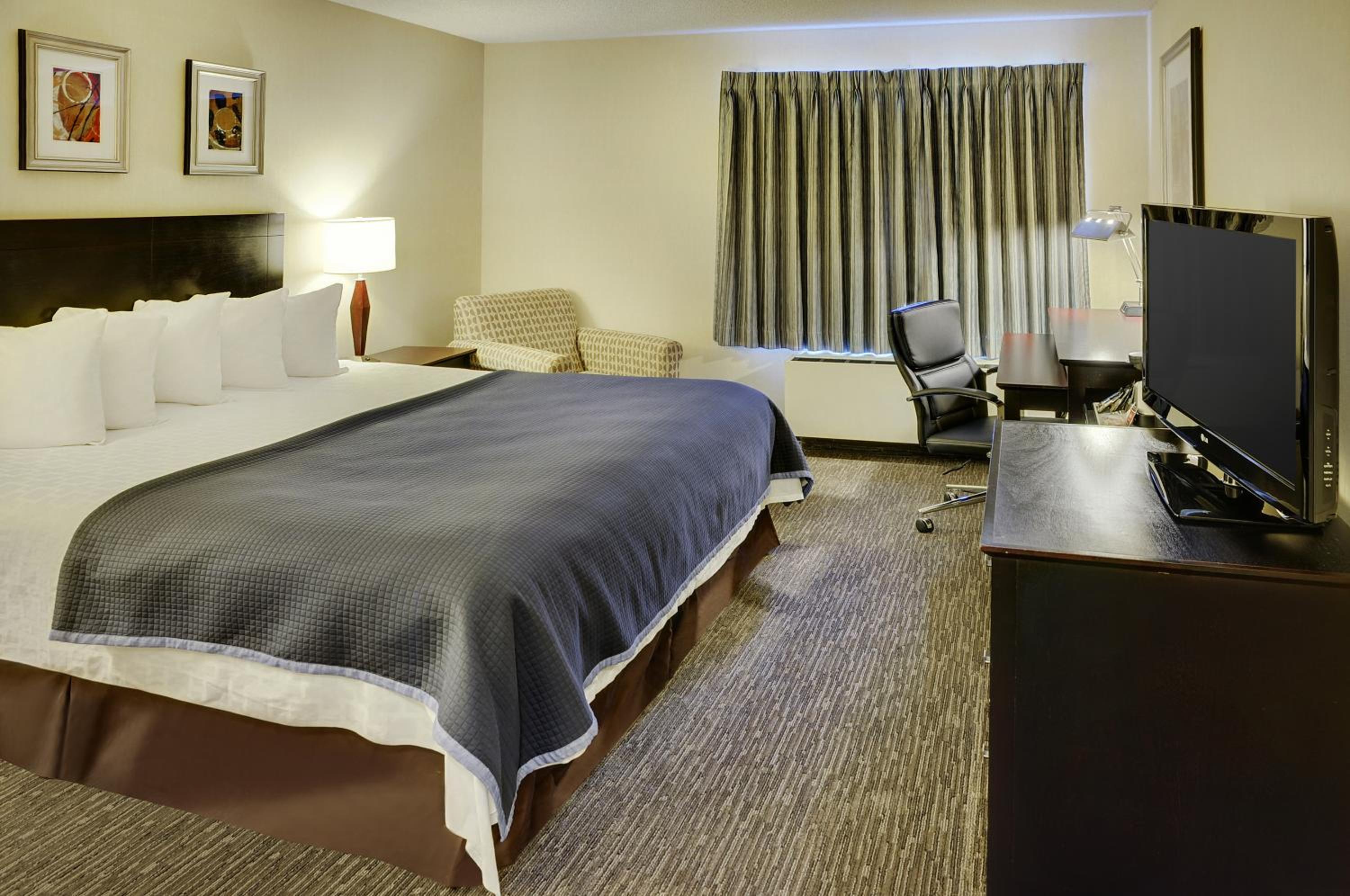 King Room - Non-Smoking
