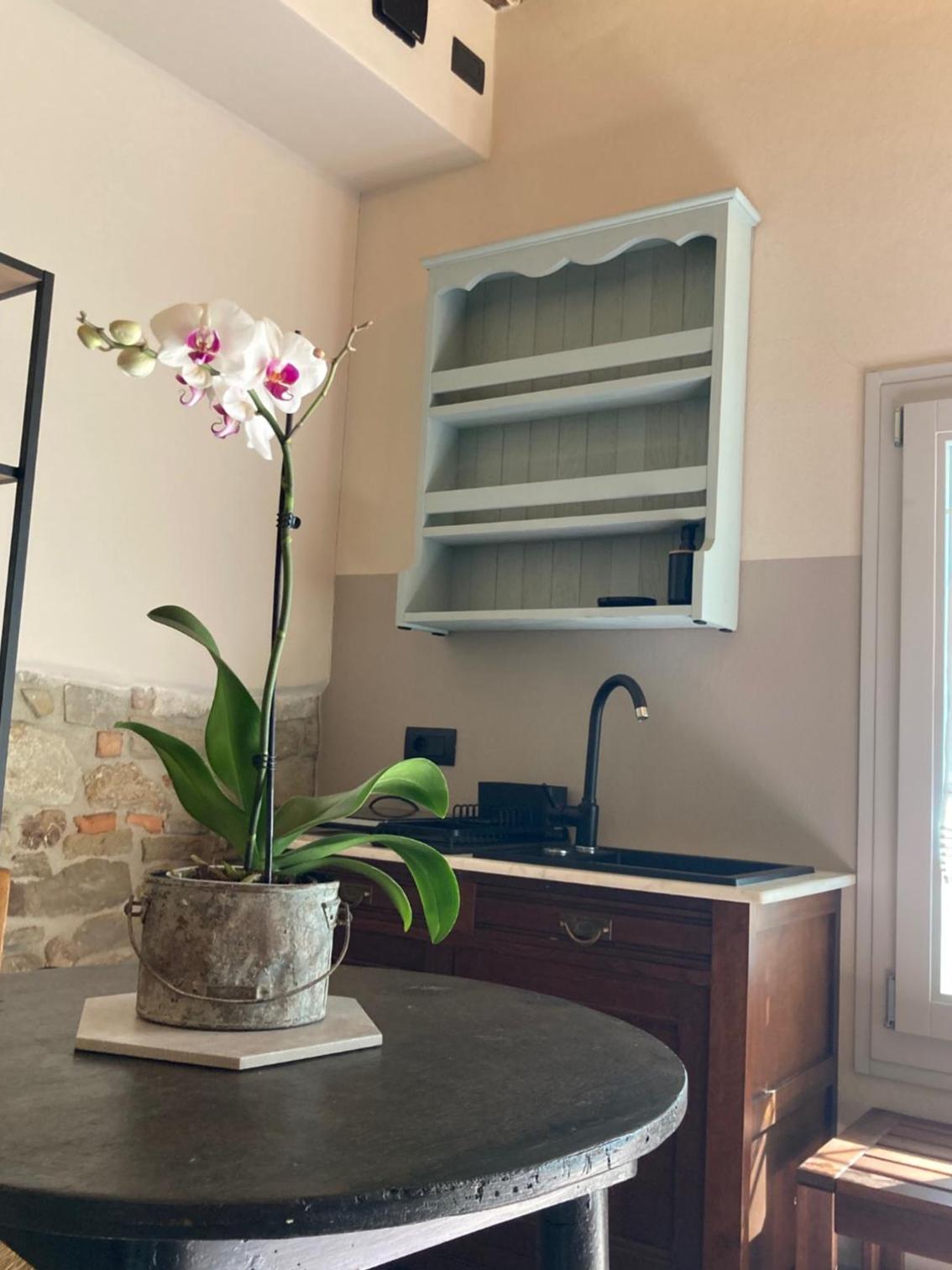 Studio with Terrace photo 3