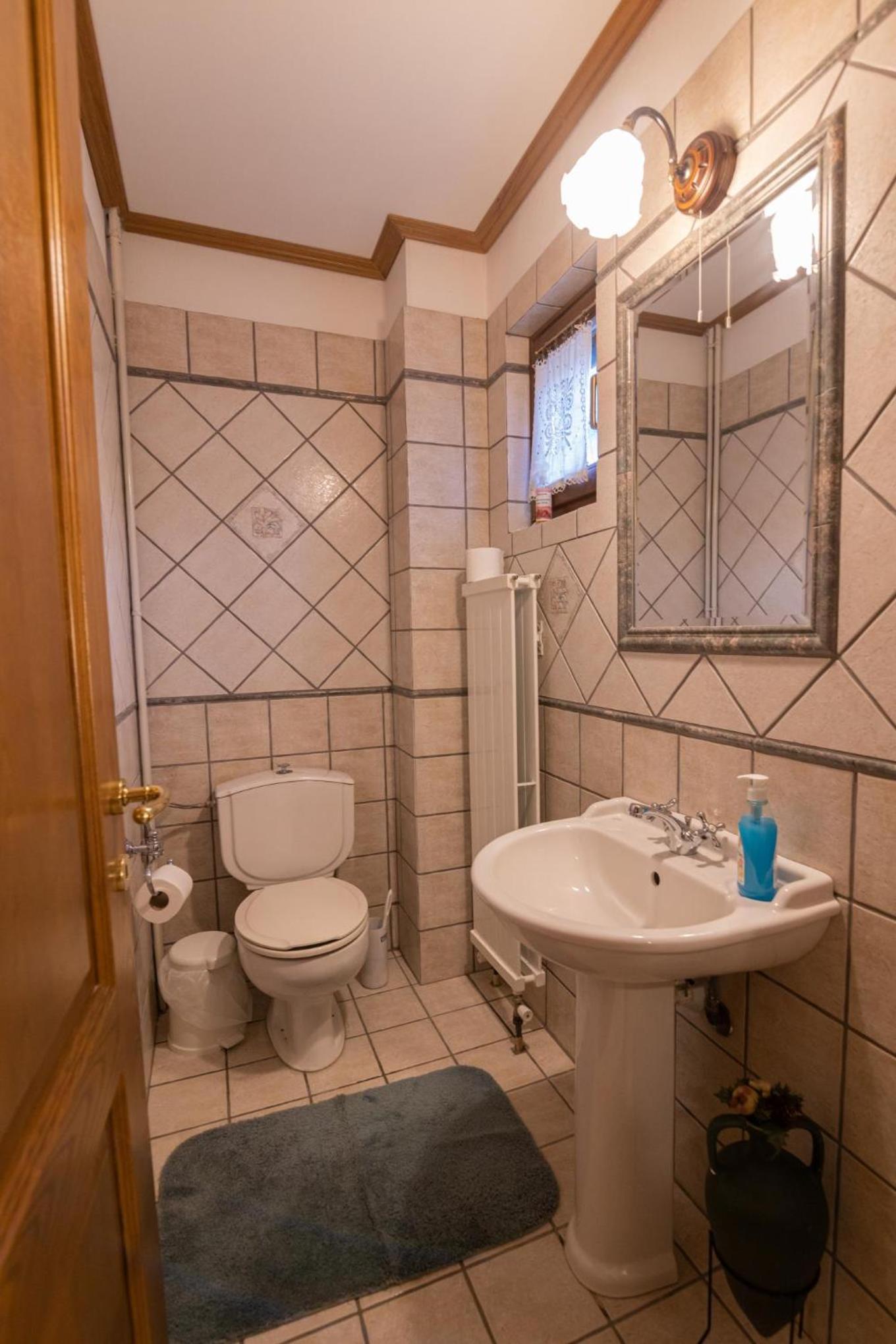Deluxe Villa photo 3