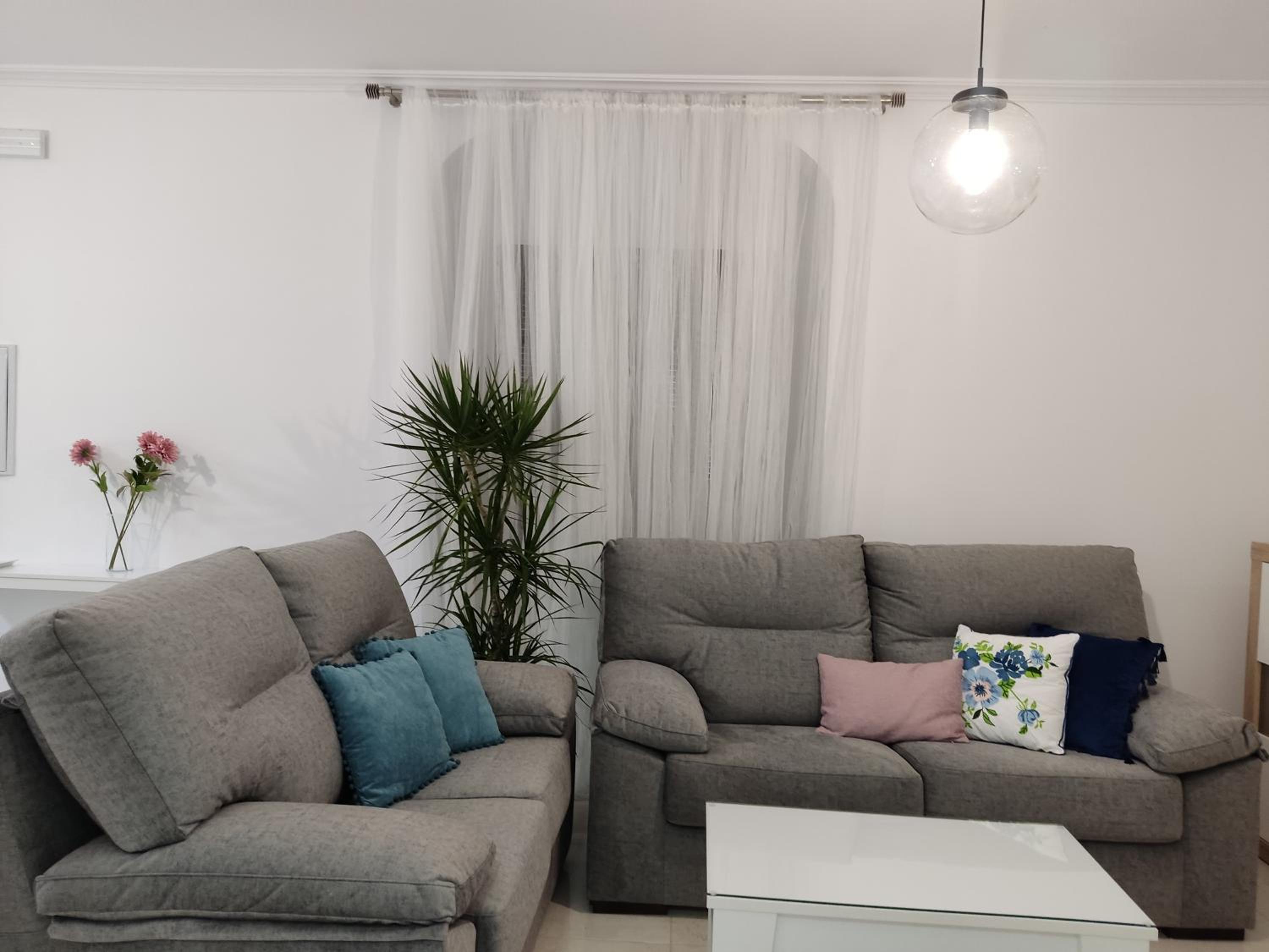 Apartamento - Planta Baja