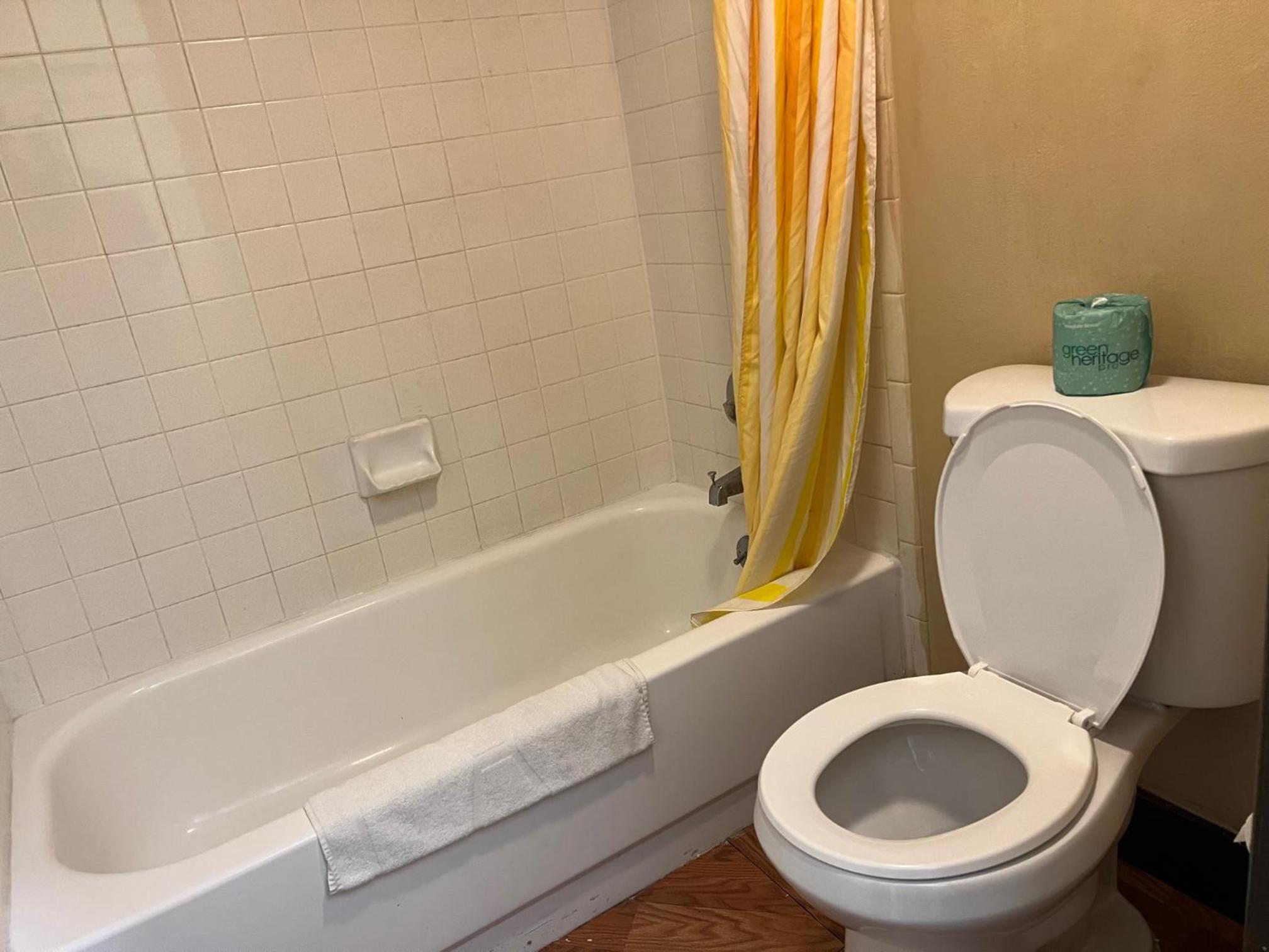 Double or Twin Room photo 3