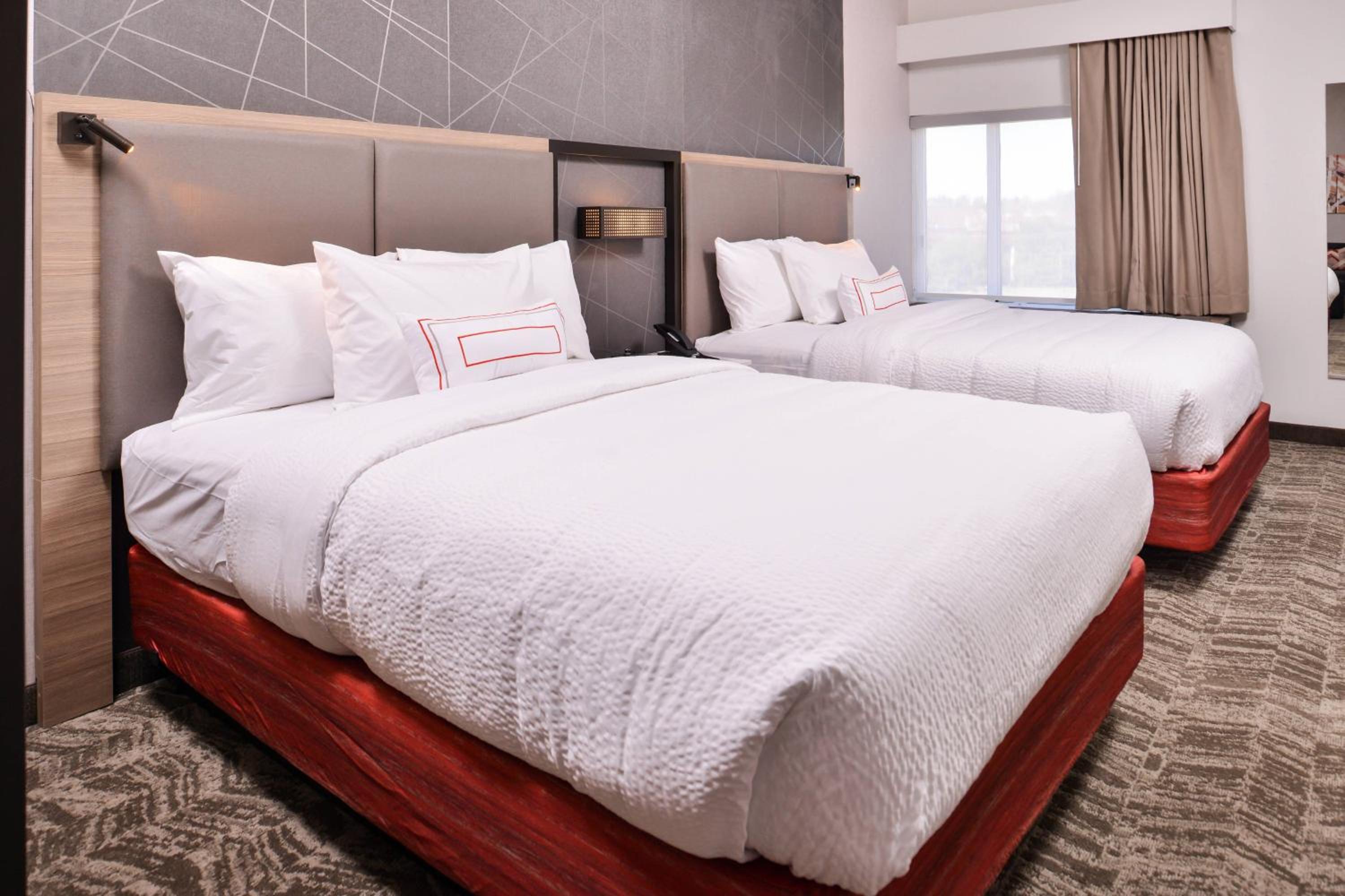 Queen Suite with Sofa Bed and Roll-in Shower - Mobility Accessible photo 1