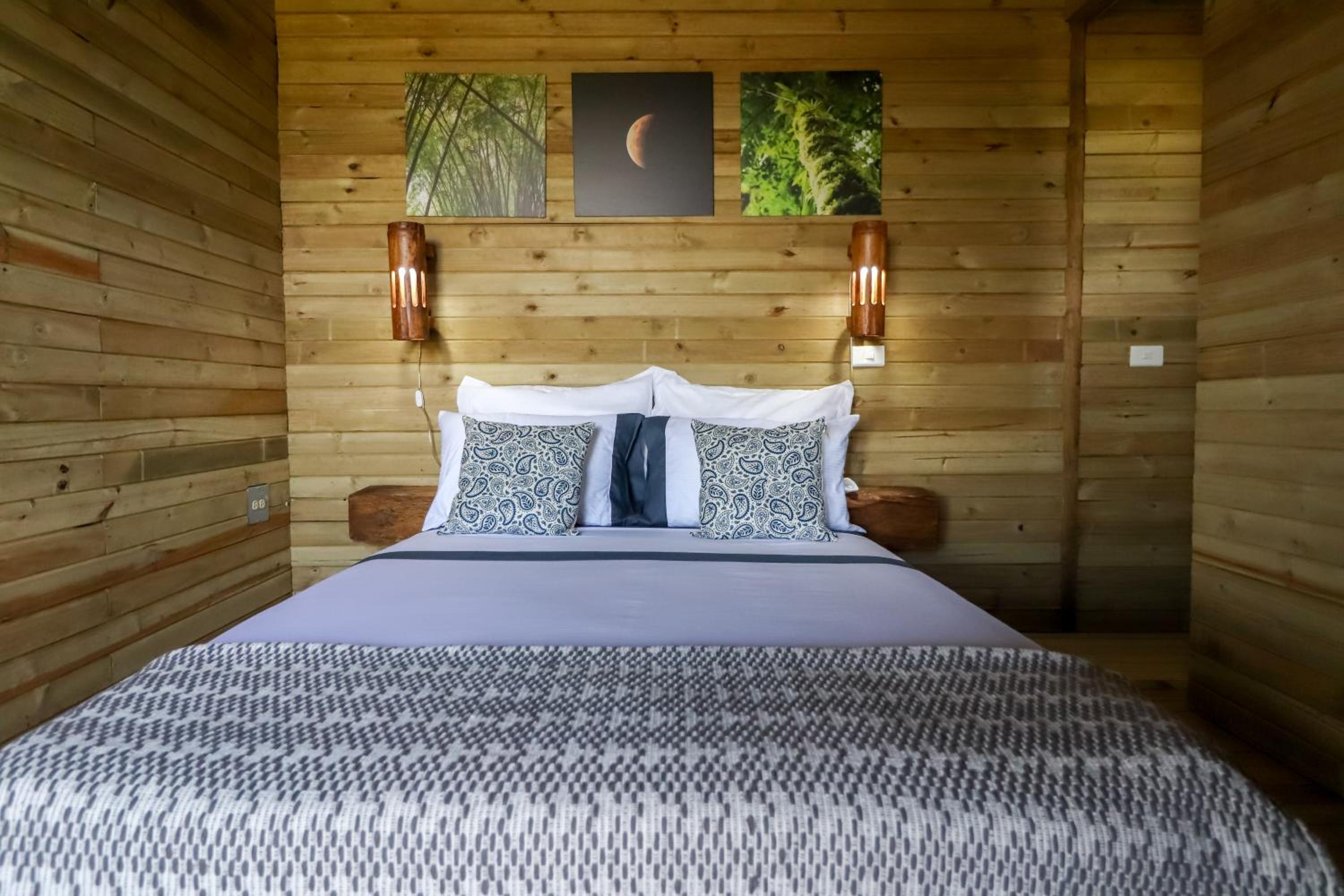 Double Room with Mountain View photo 1