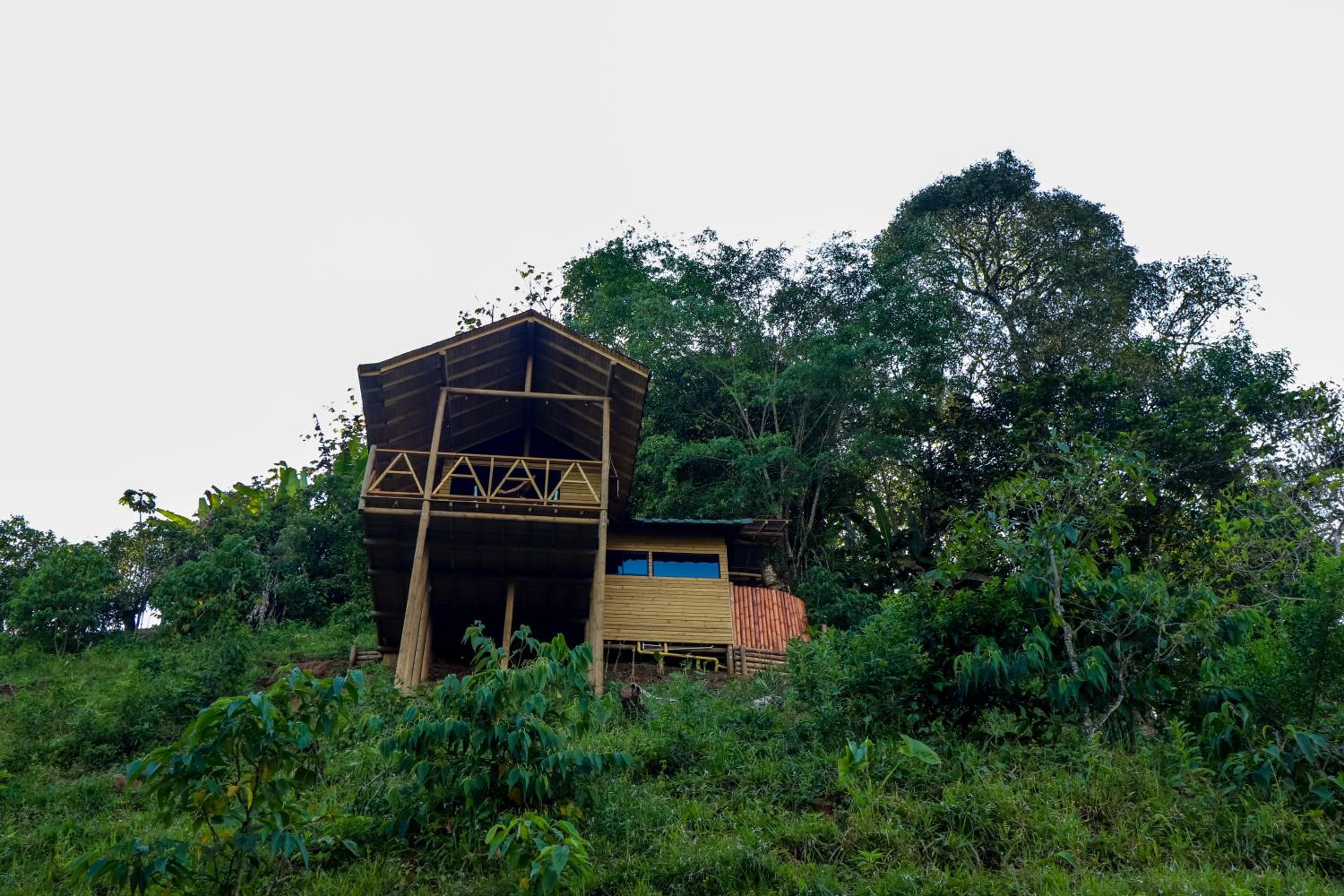 Double Room with Mountain View photo 2