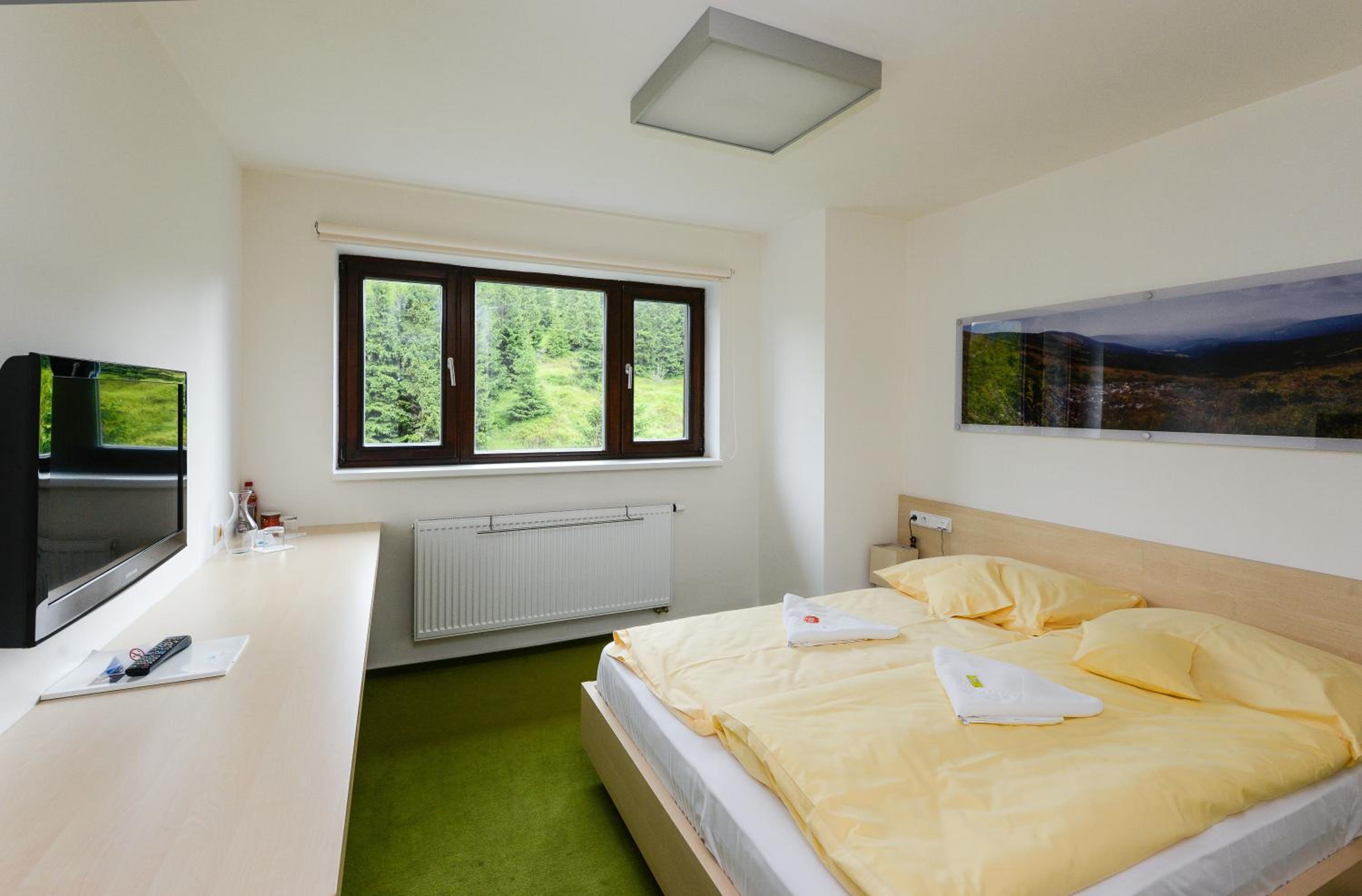 Double Room photo 1