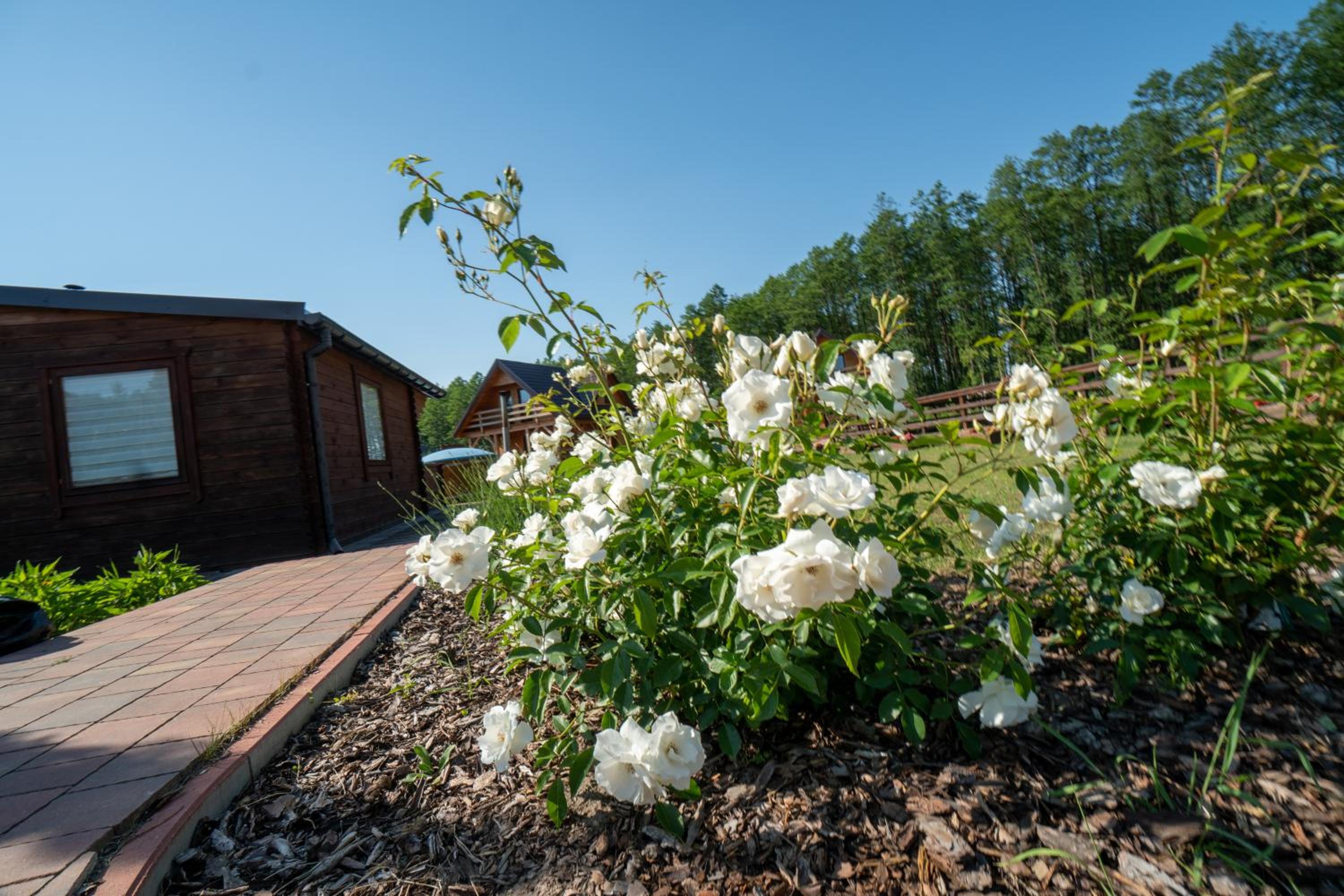 Villa - Photo 10