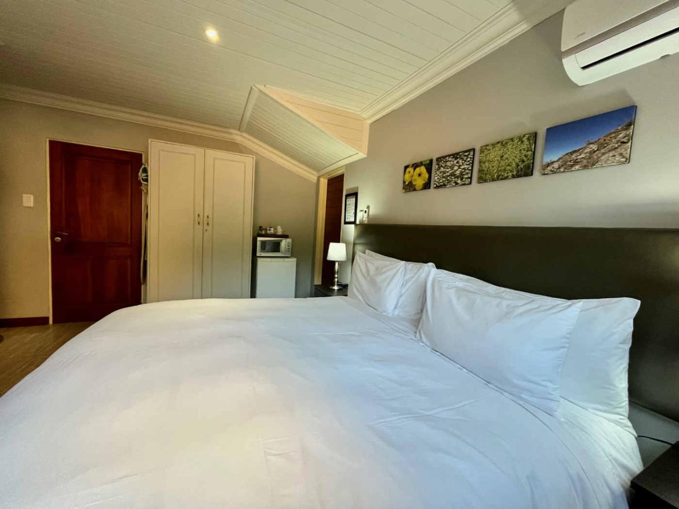 Standard Twin/Double Room photo 2