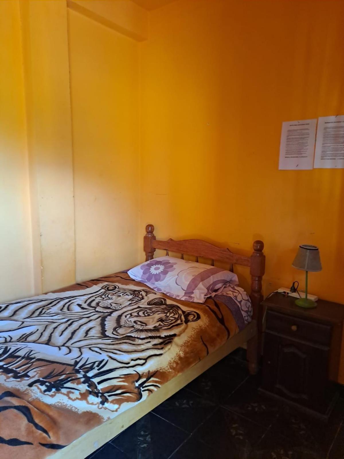 Standard Single Room with Shared Bathroom photo 1