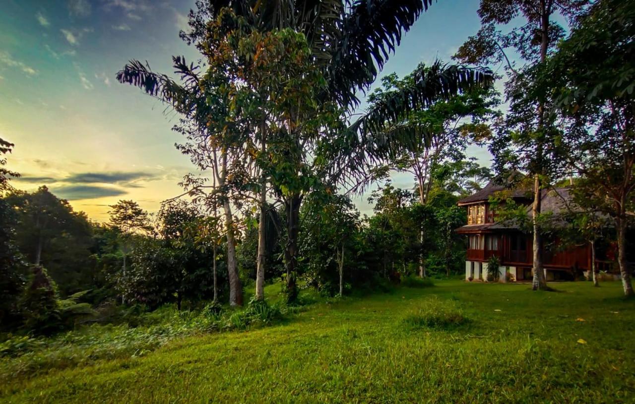 Three-Bedroom Villa - Photo 18