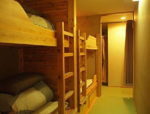 Bunk Bed in Mixed Dormitory Room