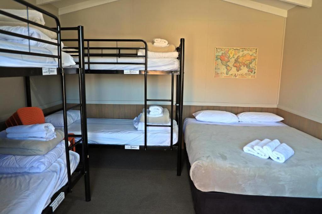 Large Standard Cabin with Shared Bathroom
