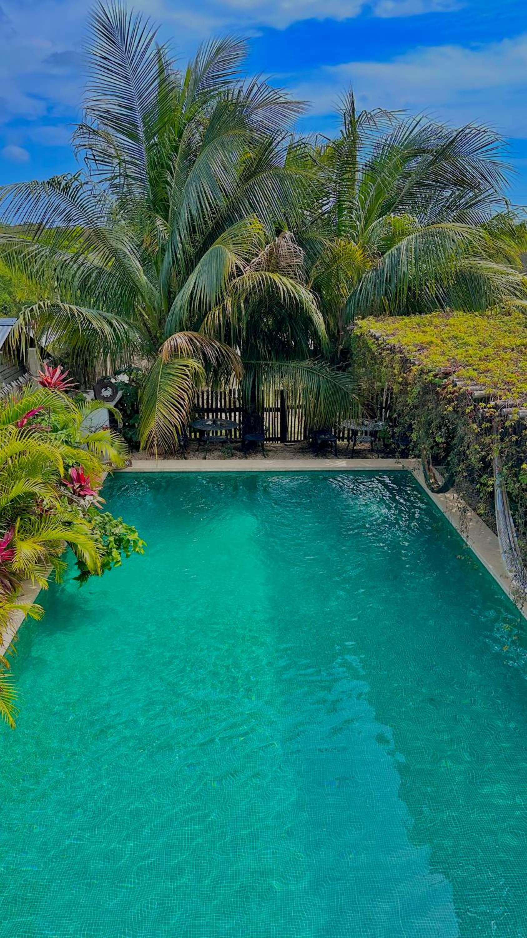Queen Room with Pool View - Photo 15