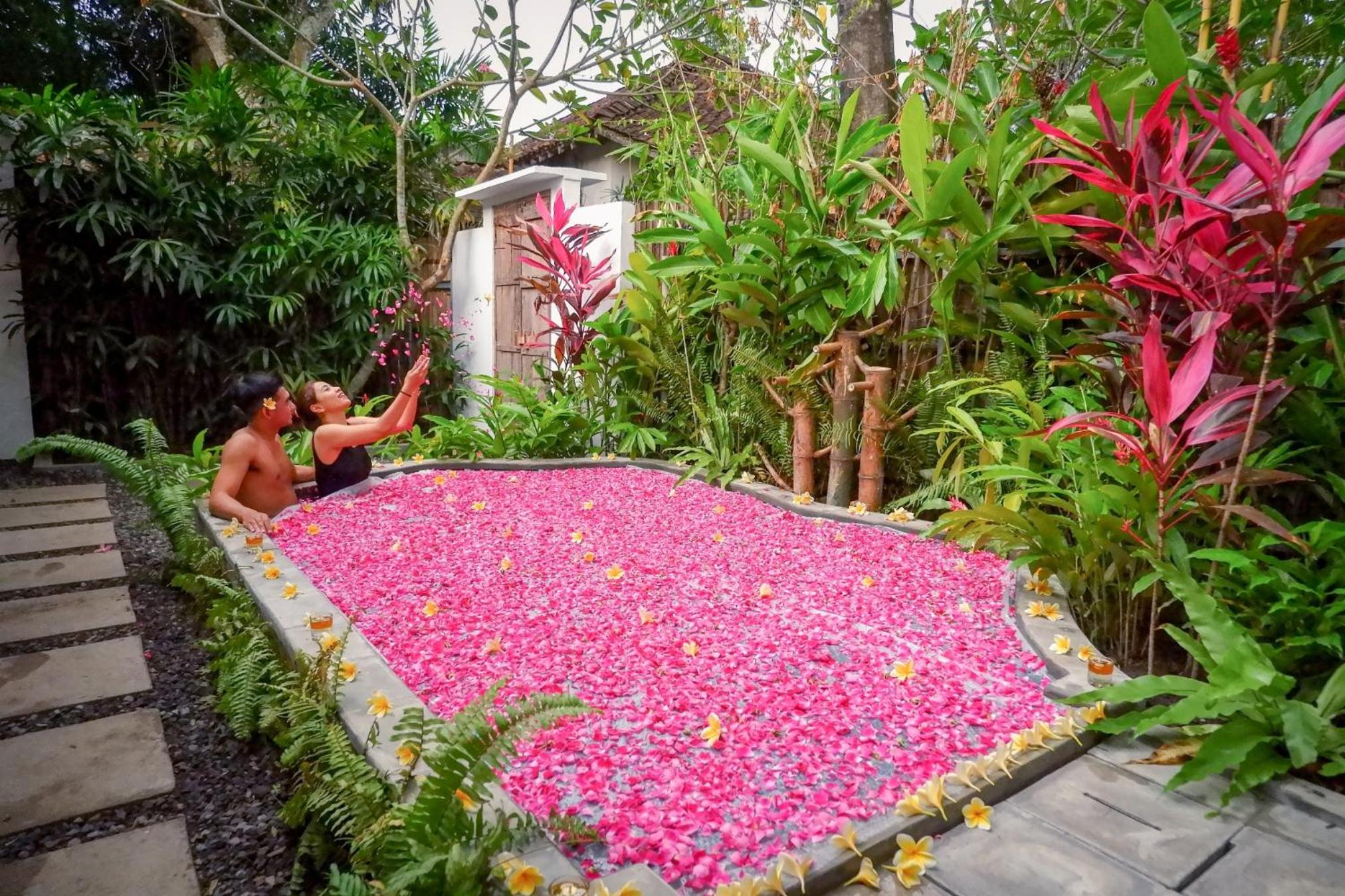 Garden Suite with Private Plunge Pool - Photo 4