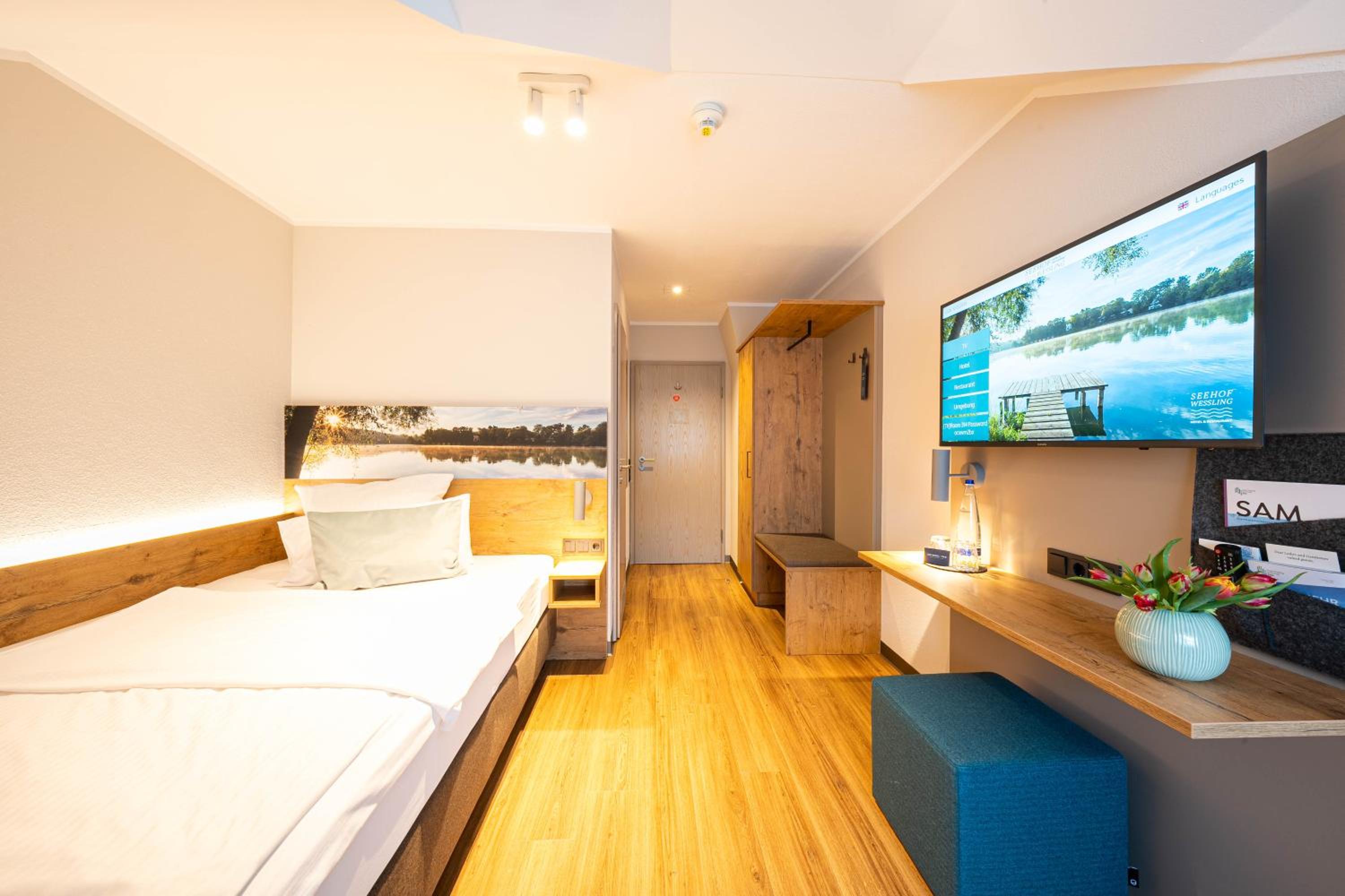 Single Room photo 2