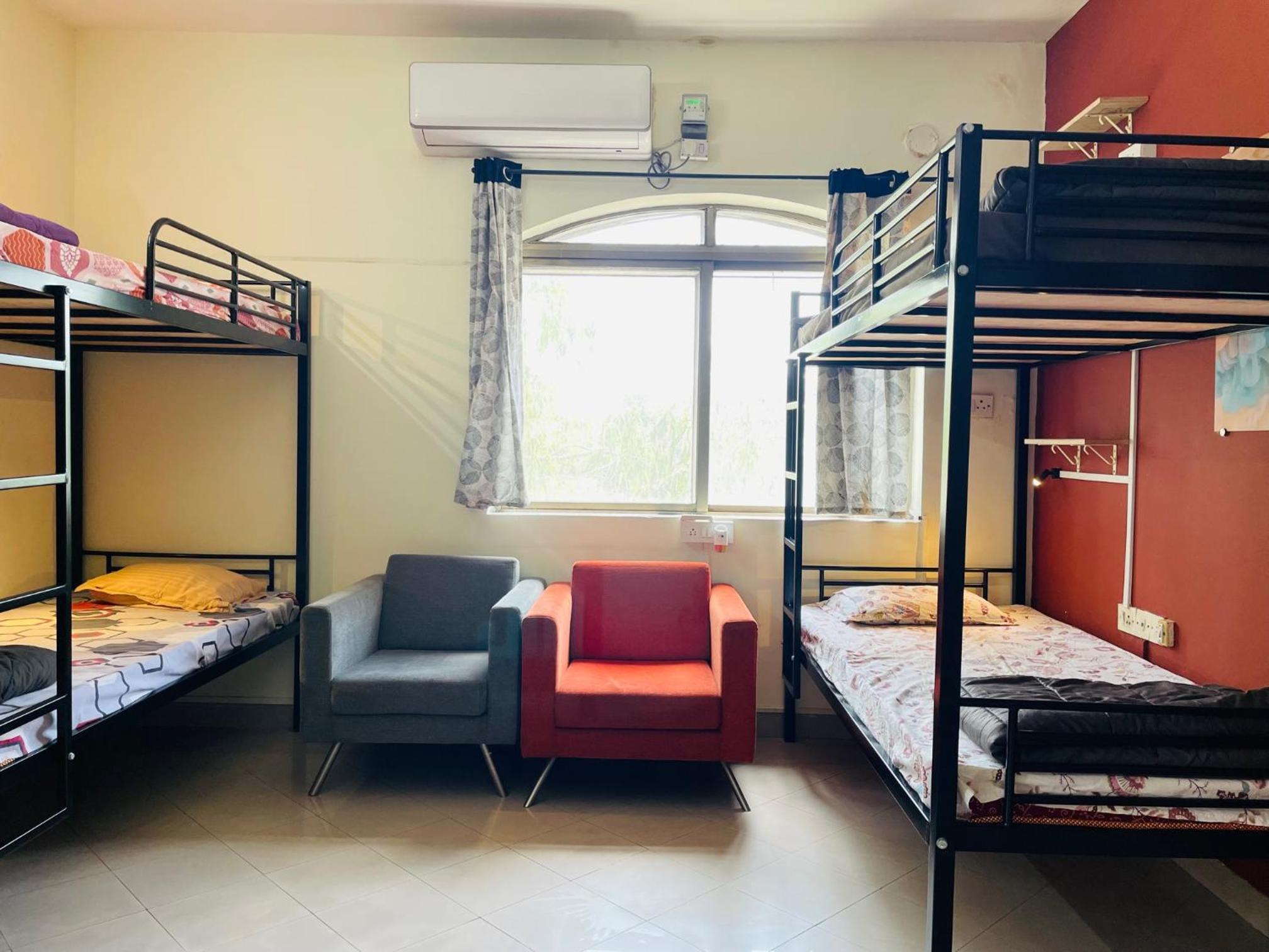 Single Bed in Mixed Dormitory Room