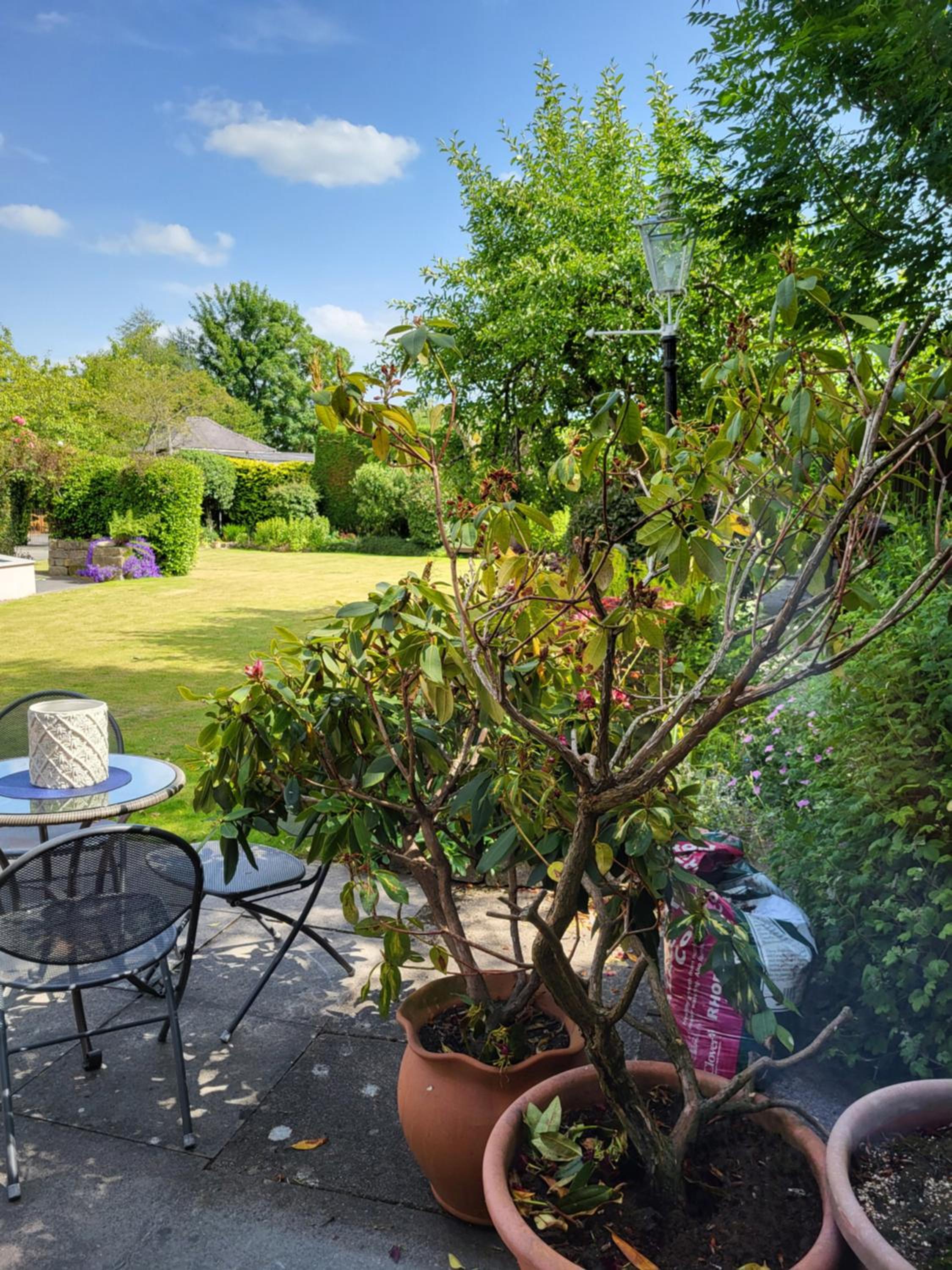 Double Room with Garden View photo 1